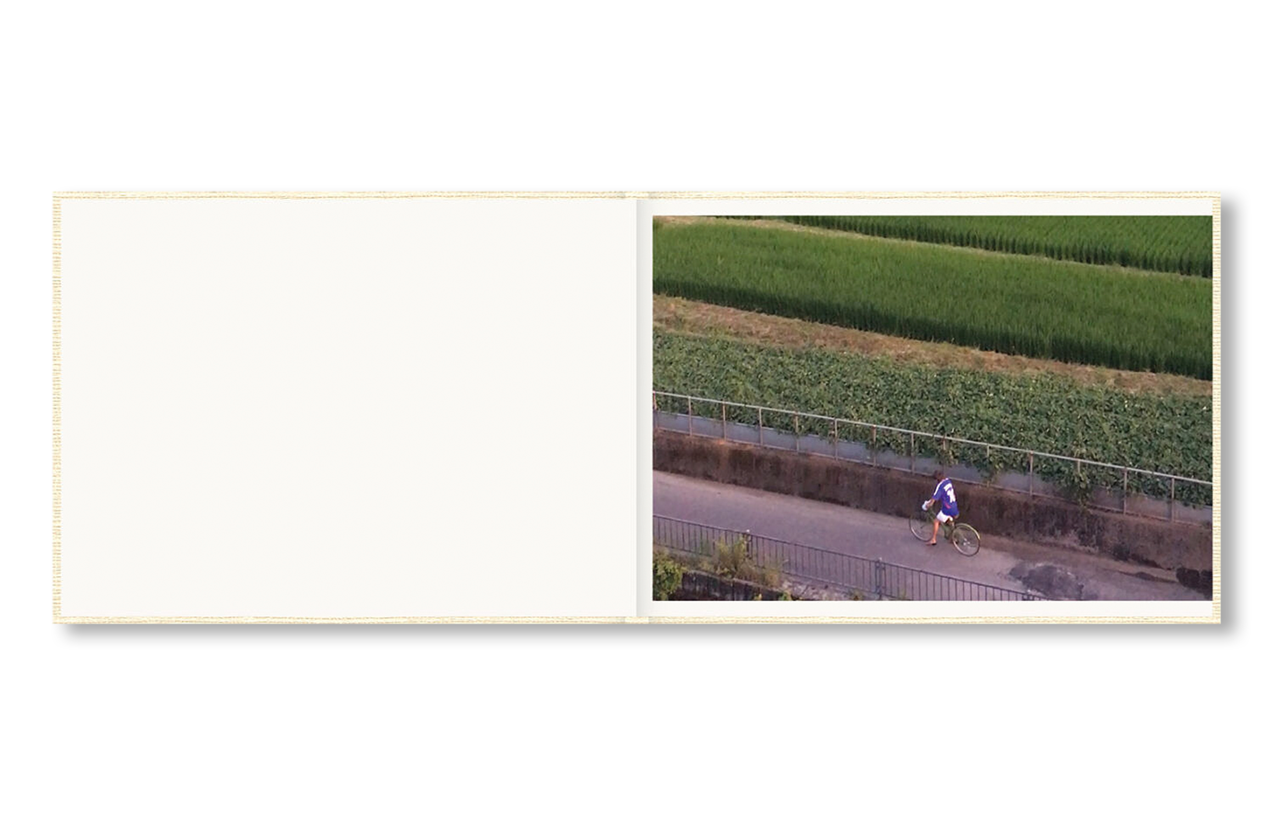 SCREENSHOTS FROM A SERIES OF VIDEOS ABOUT A RICE FIELD AND ITS SURROUNDINGS by Cintia Tortosa Santisteban