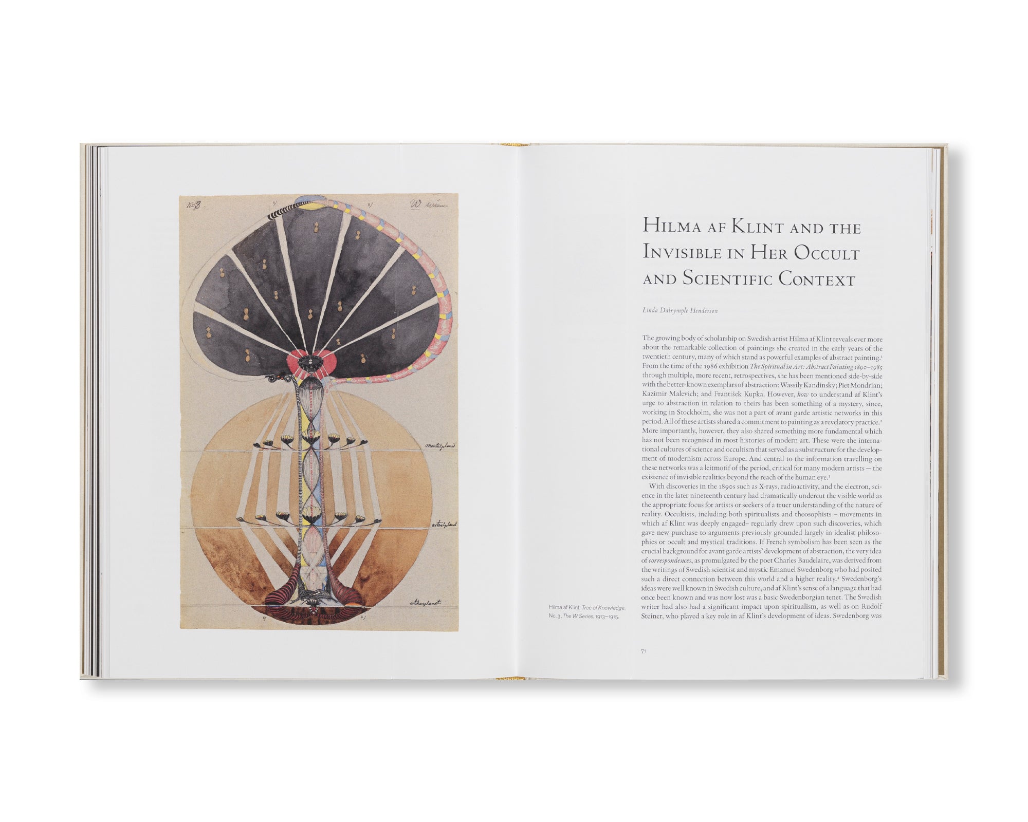 HILMA AF KLINT: VISIONARY by Hilma af Klint