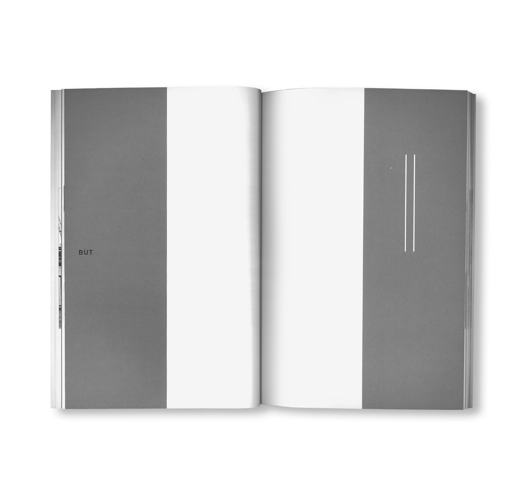 MANY by Peter Downsbrough