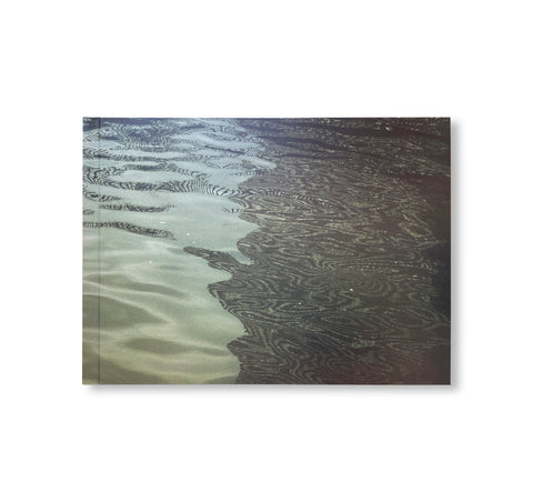 STILL WATER by Roni Horn