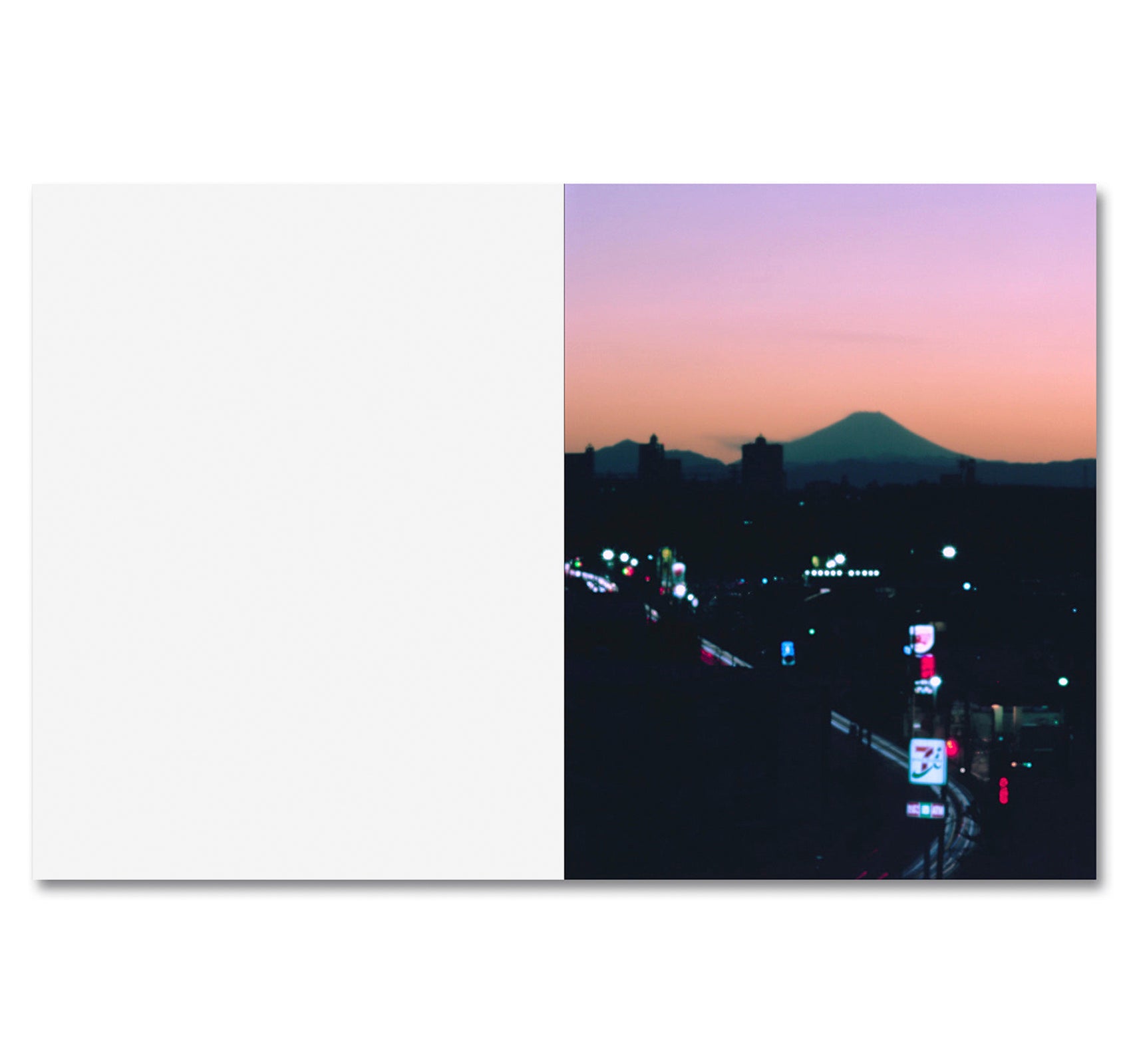 THIRTY-SIX VIEWS OF MOUNT FUJI by Takashi Homma