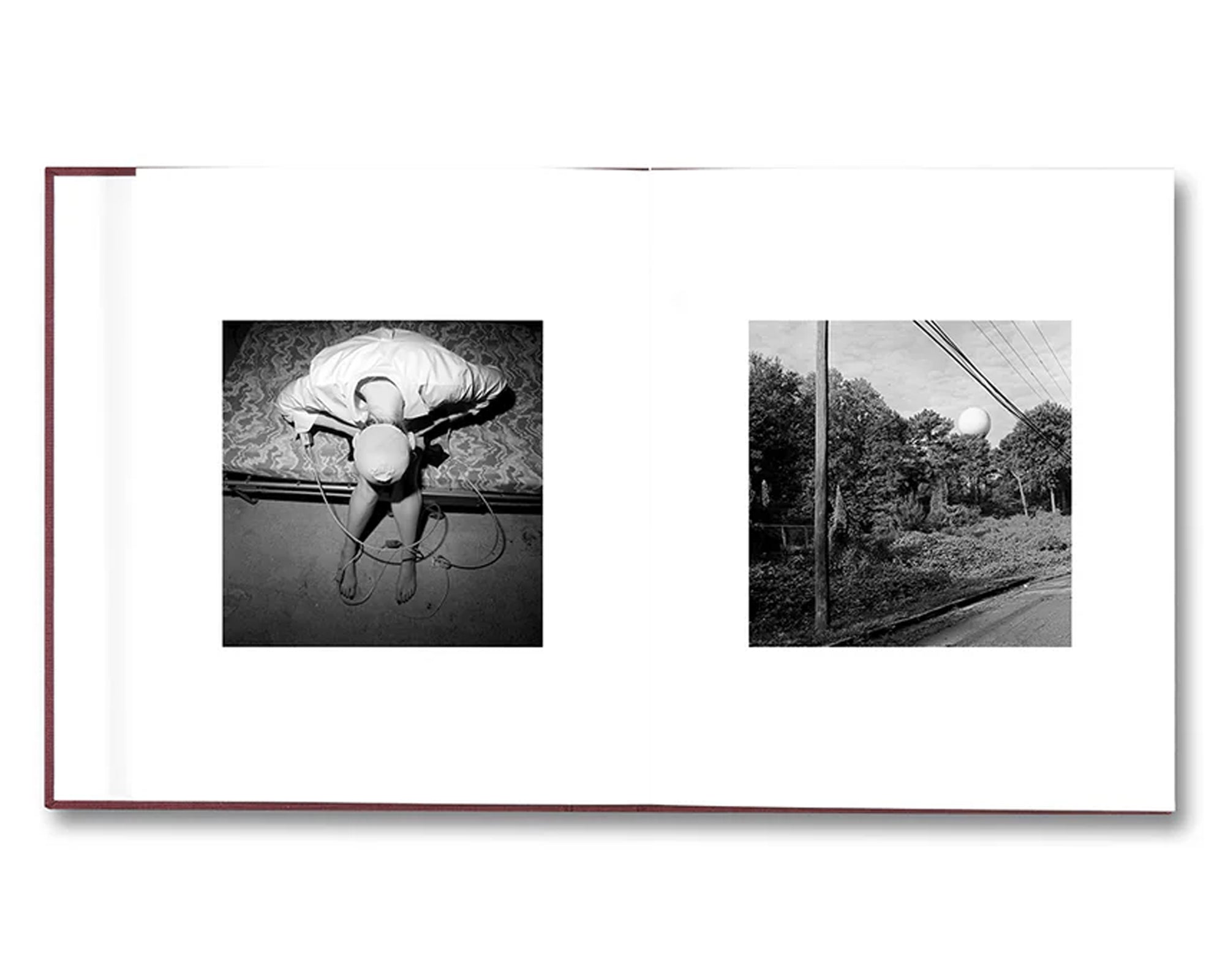 VISCIN by Yorgos Lanthimos