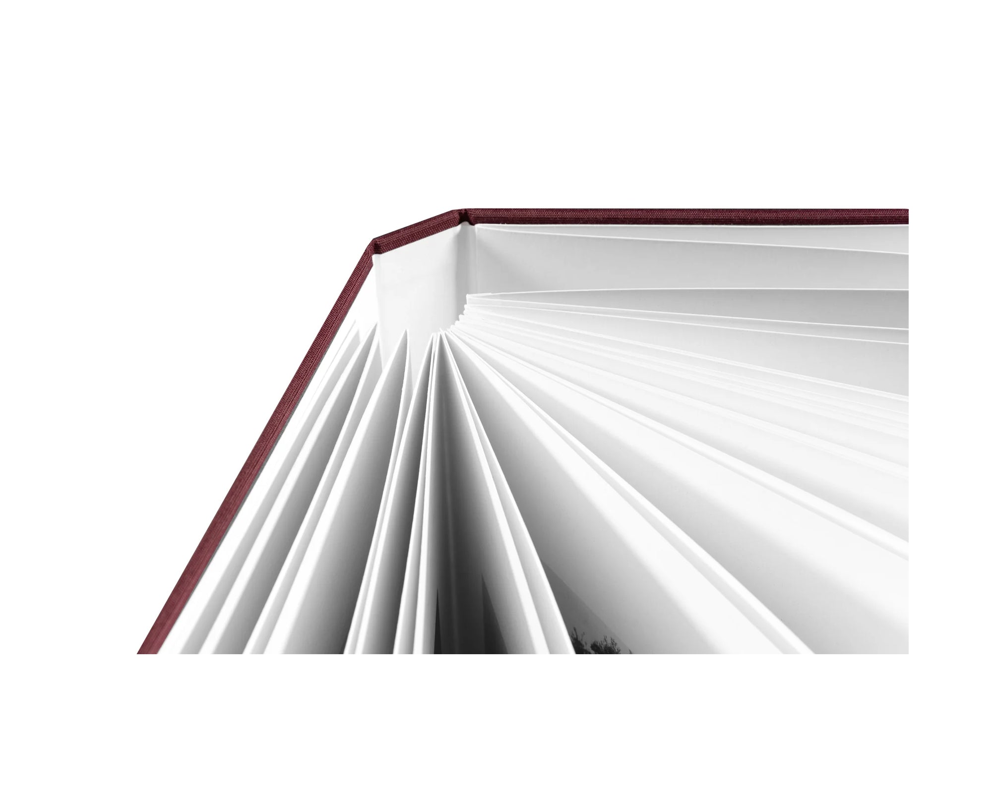 VISCIN by Yorgos Lanthimos