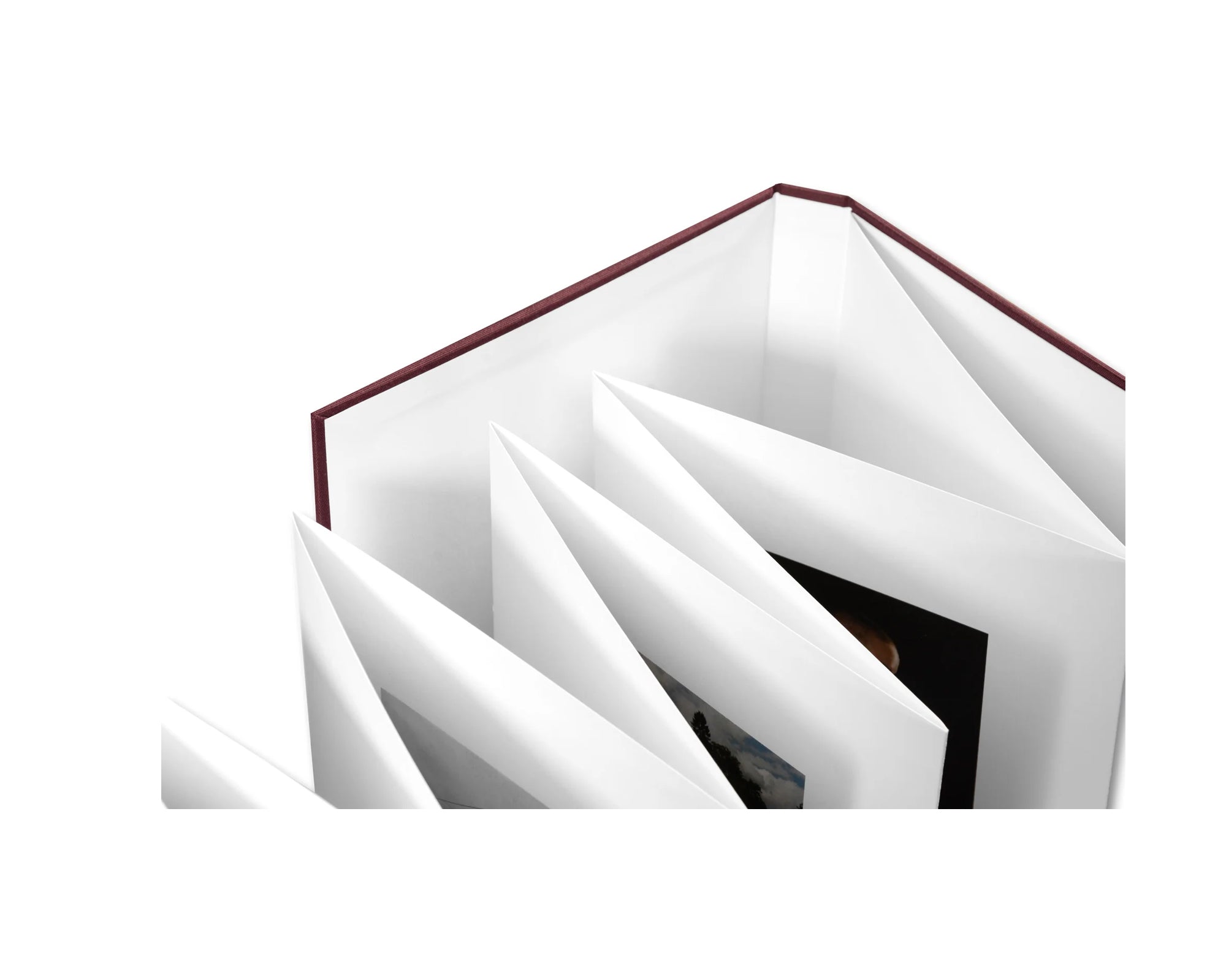 VISCIN by Yorgos Lanthimos