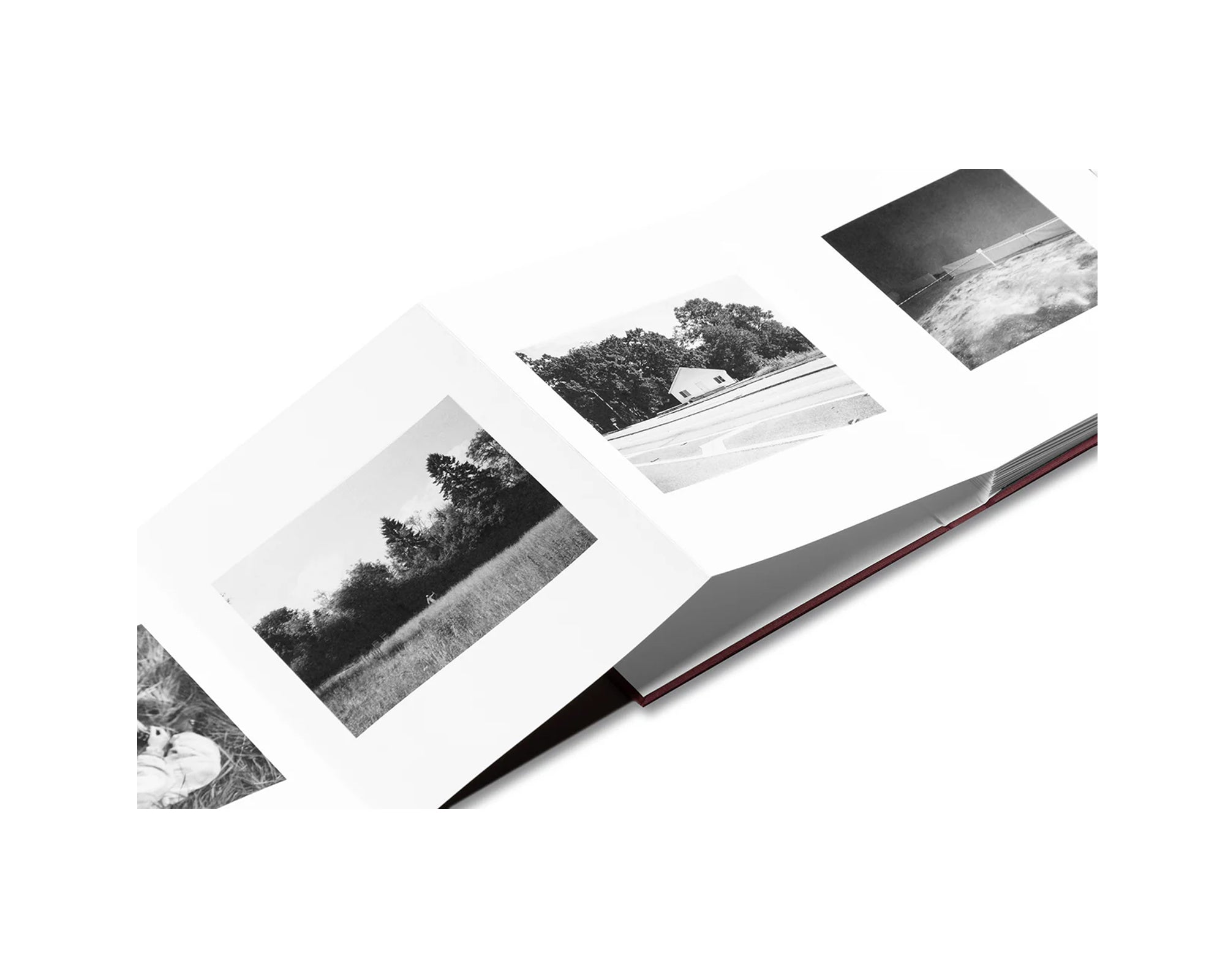 VISCIN by Yorgos Lanthimos