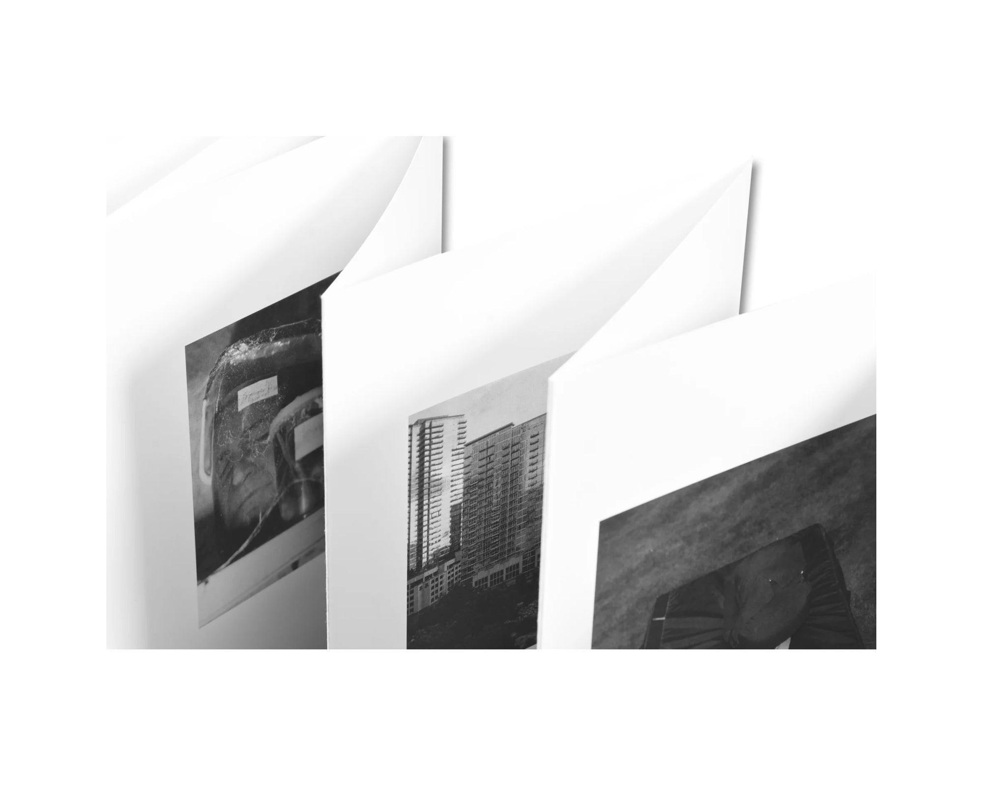 VISCIN by Yorgos Lanthimos