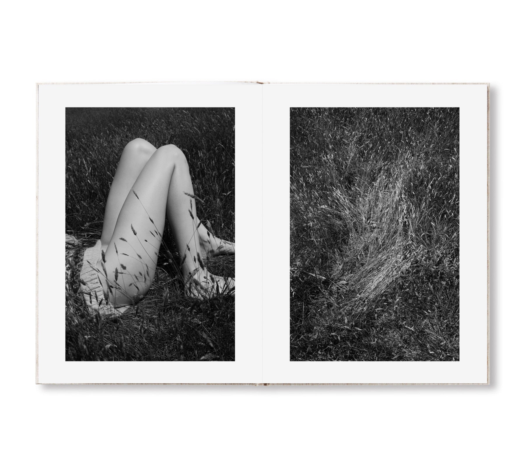 SOL & LUNA by Viviane Sassen [THIRD EDITION / SPECIAL EDITION]