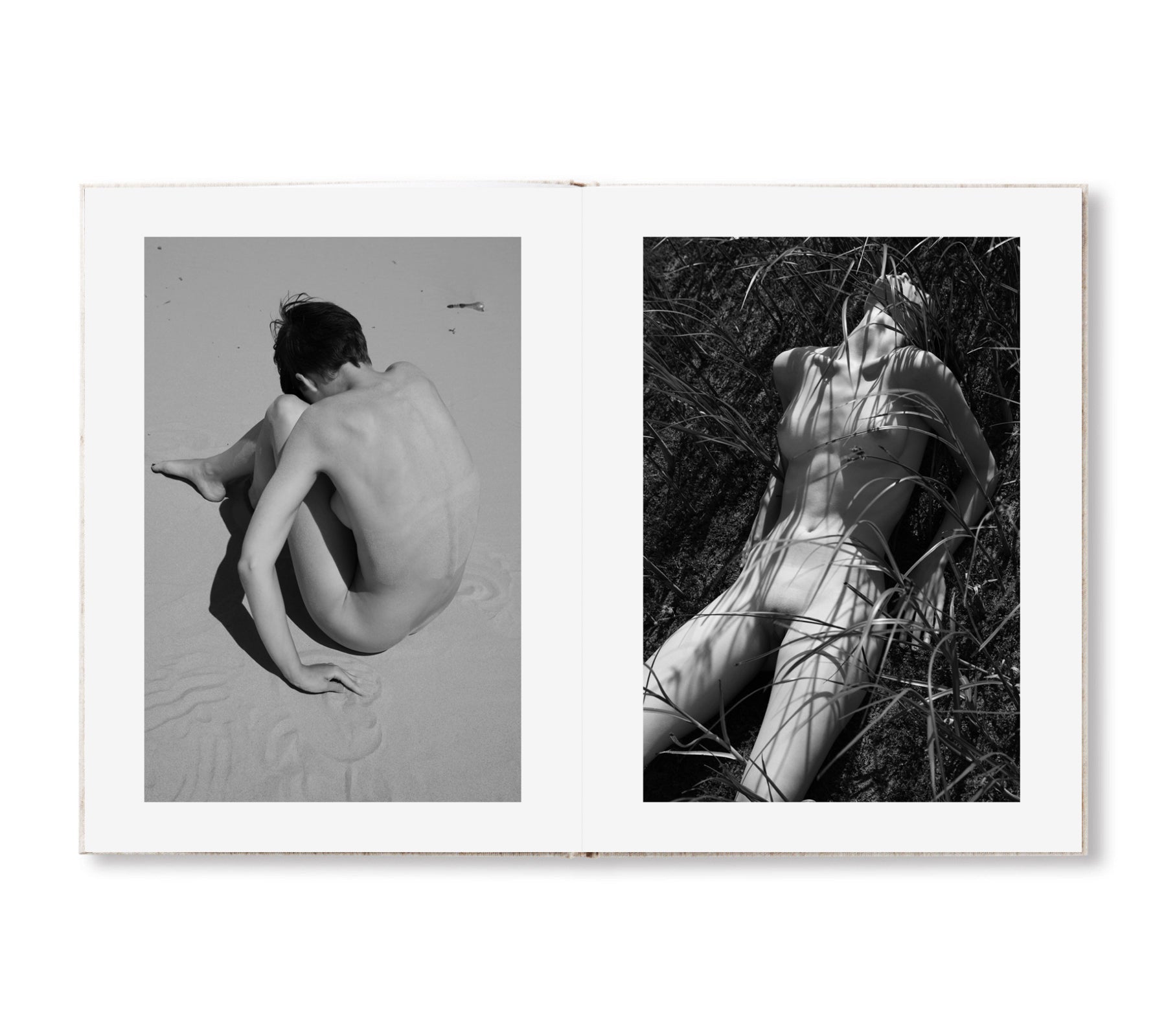 SOL & LUNA by Viviane Sassen [THIRD EDITION / SPECIAL EDITION]