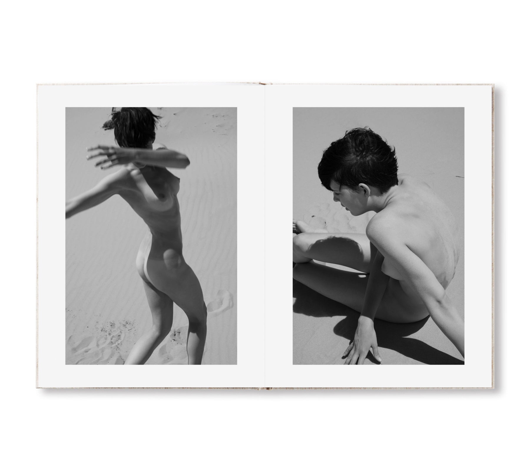 SOL & LUNA by Viviane Sassen [THIRD EDITION / SPECIAL EDITION]