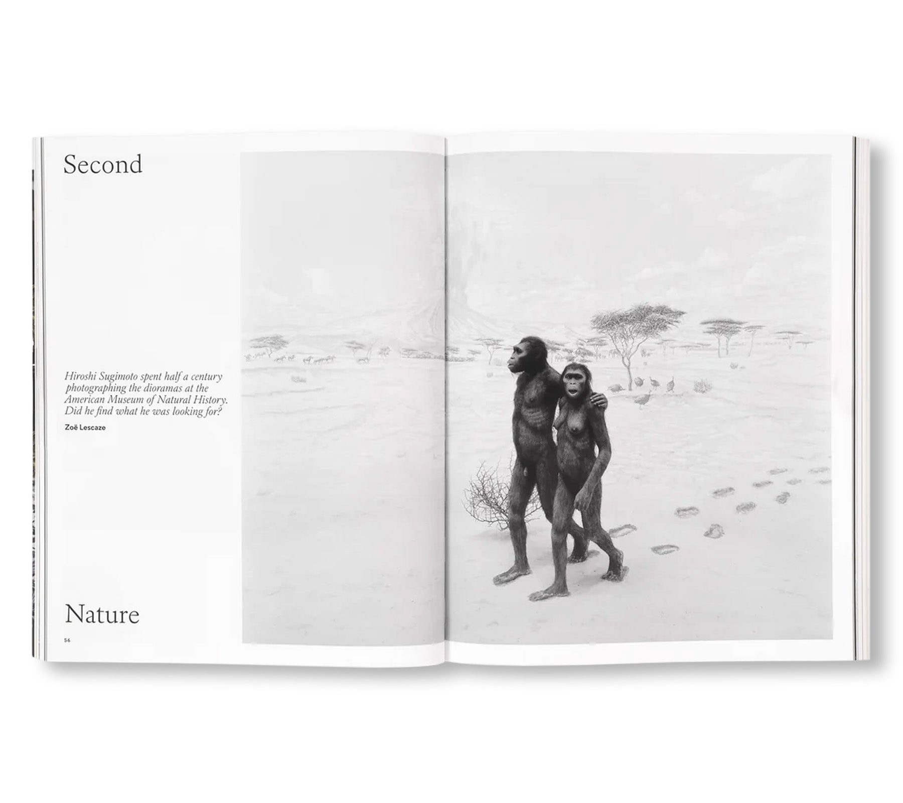 APERTURE 264 - FALL 2026: STOP TIME, GUEST EDITED BY HIROSHI SUGIMOTO