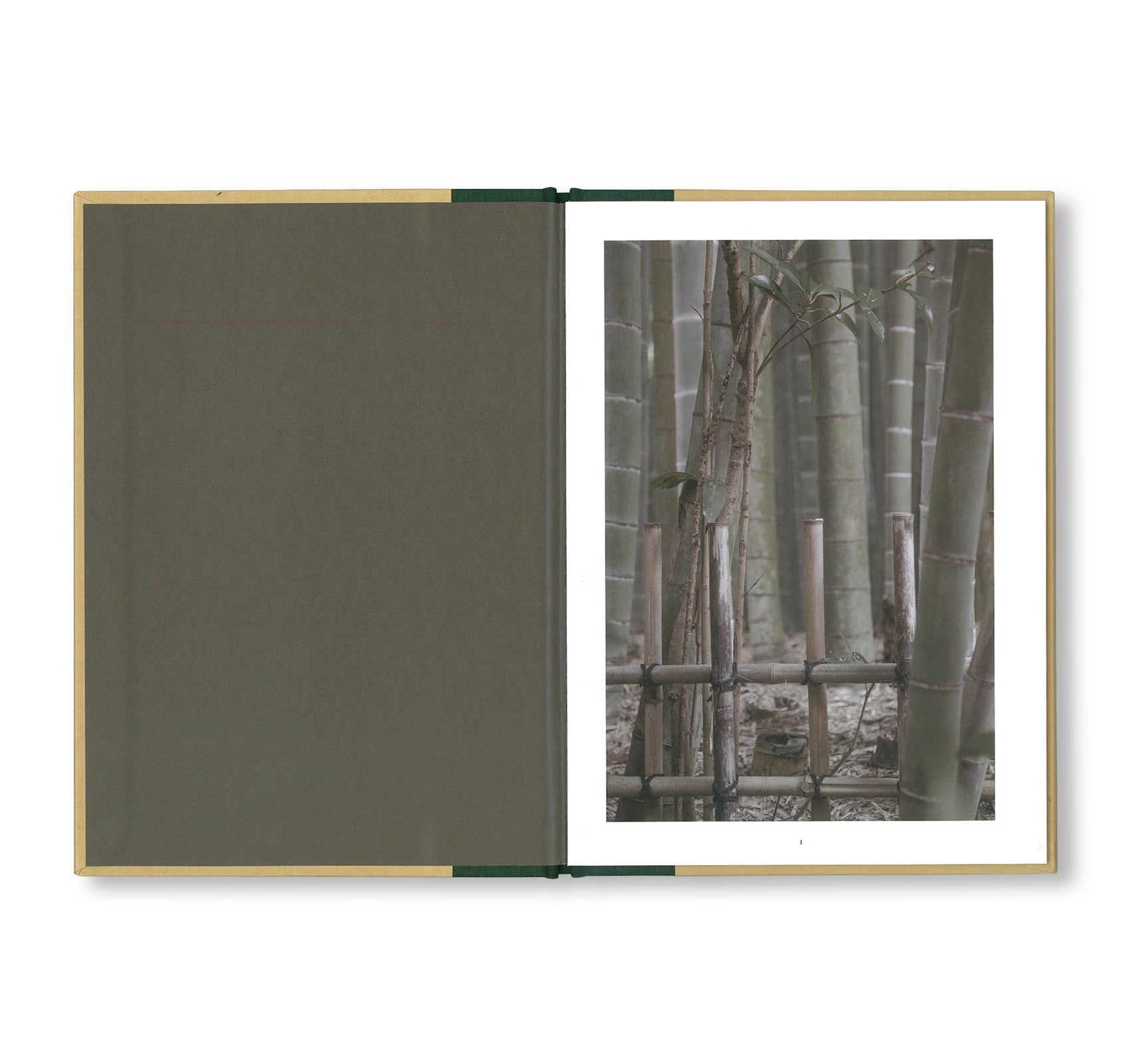 ONE PICTURE BOOK TWO #18: A WALK THROUGH A BAMBOO GROVE by David H. Gibson