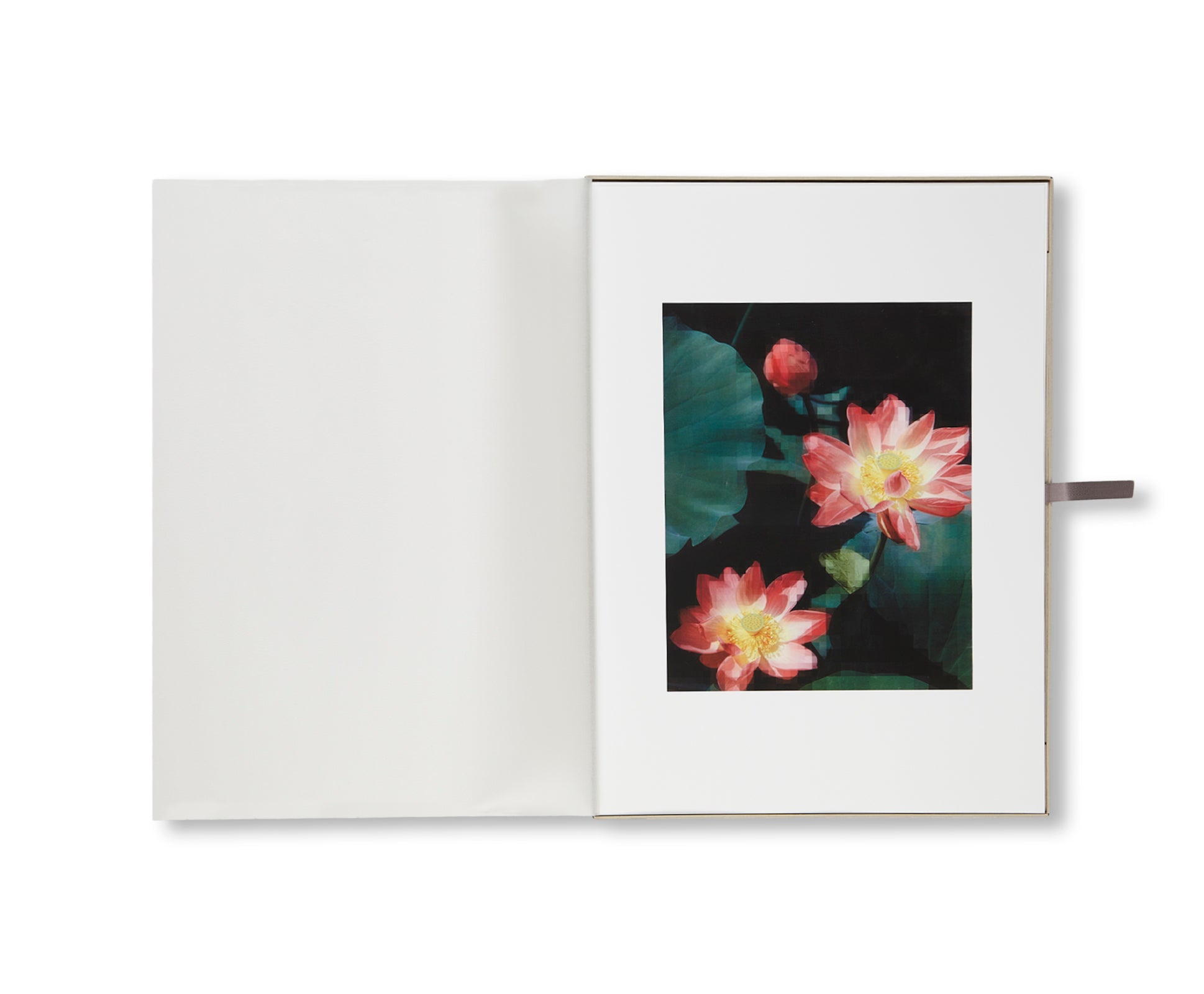 TABLEAUX CHINOIS by Thomas Ruff [SPECIAL EDITION (SEEROSE)]