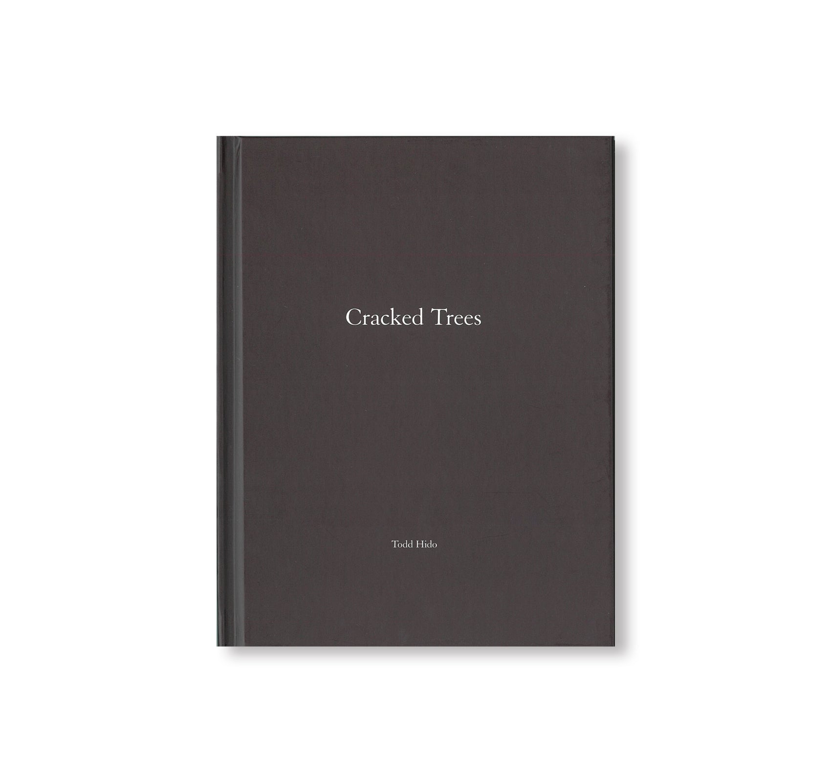 ONE PICTURE BOOK #59: CRACKED TREE by Todd Hido