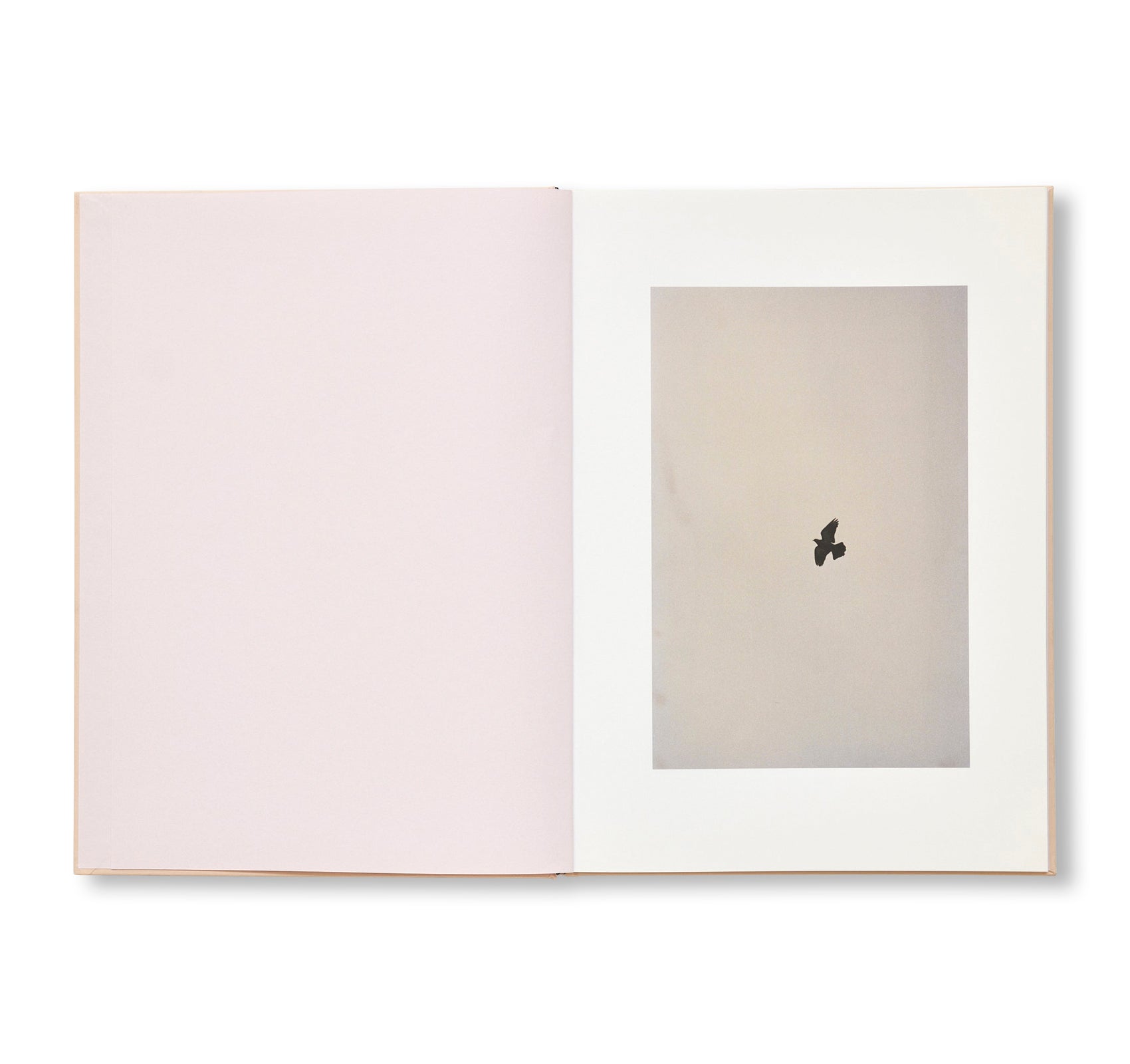 THE CLOUD, THE BIRD AND THE PUDDLE by Ola Rindal [SIGNED]