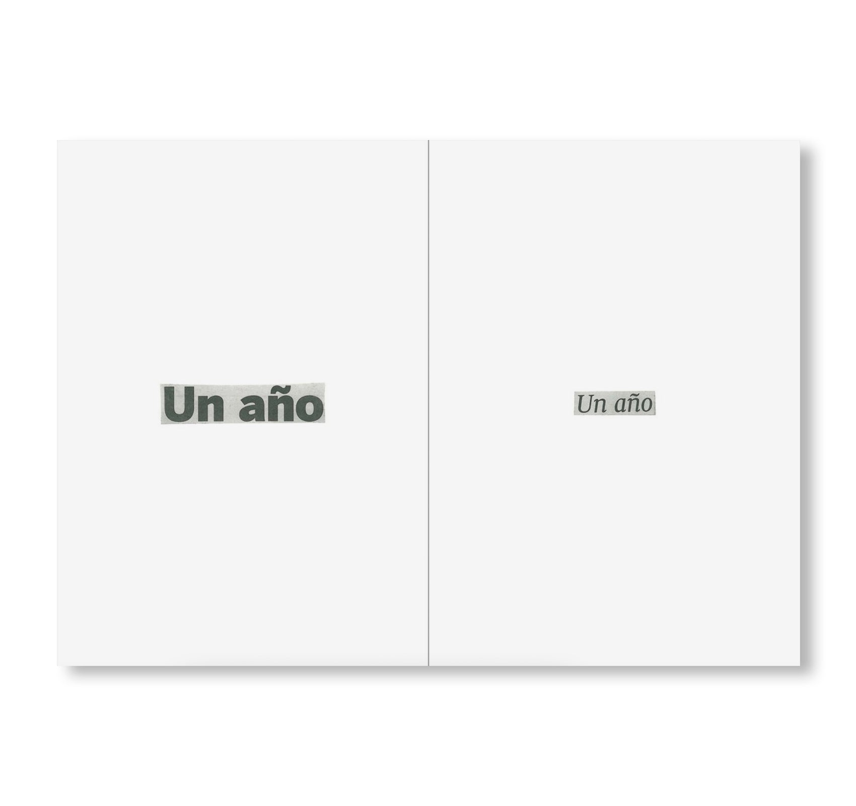 AUTOBIOGRAPHY N.10 by Ignasi Aballí