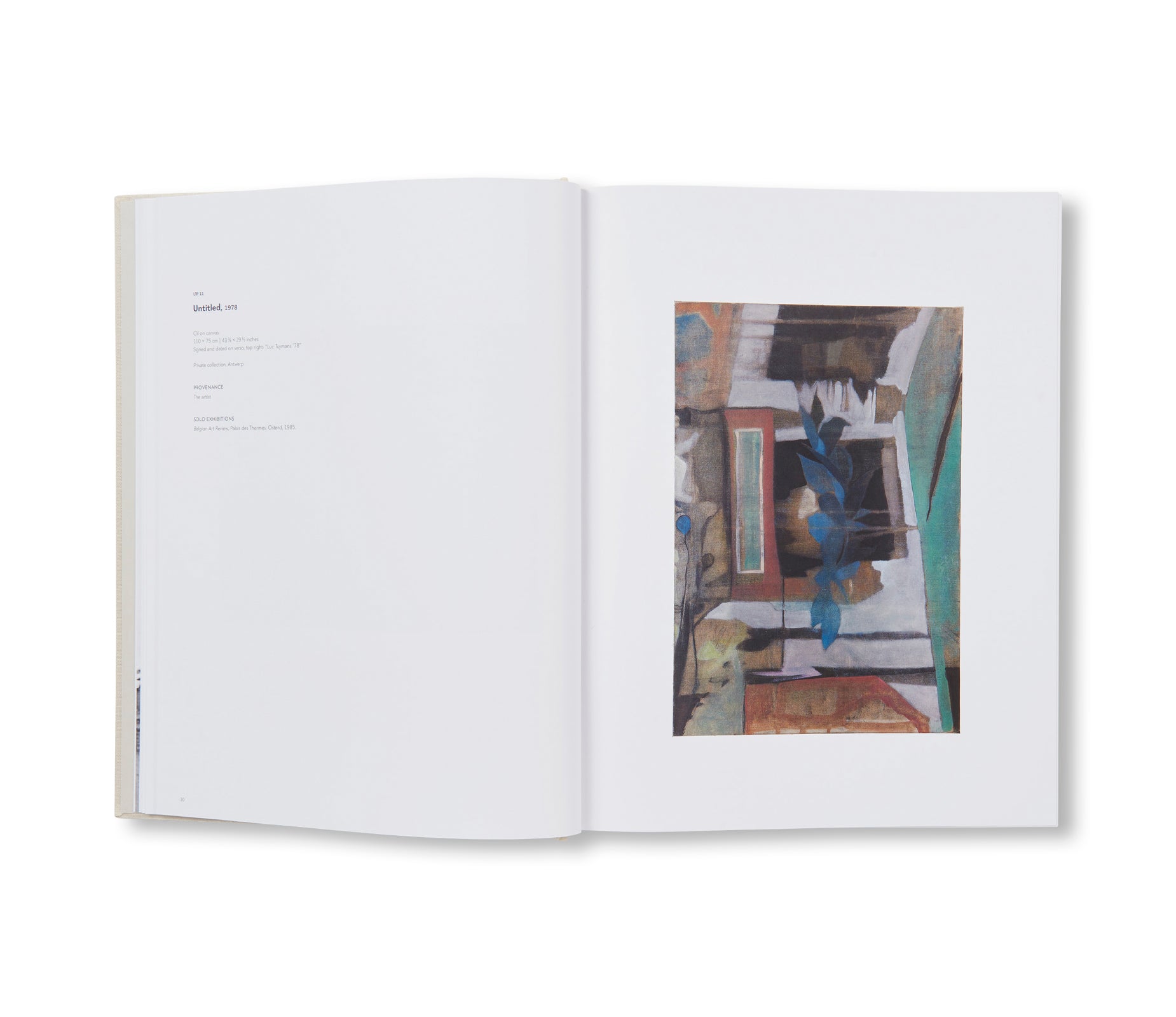 LUC TUYMANS: CATALOGUE RAISONNÉ OF PAINTINGS VOLUME 1, 1972–1994 by Luc Tuymans