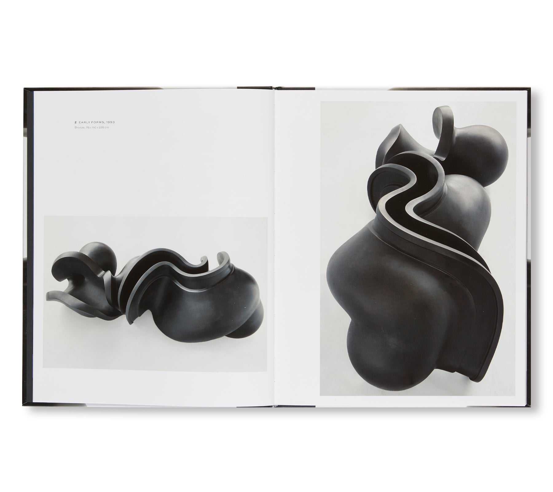 SCULPTURES AND DRAWINGS by Tony Cragg