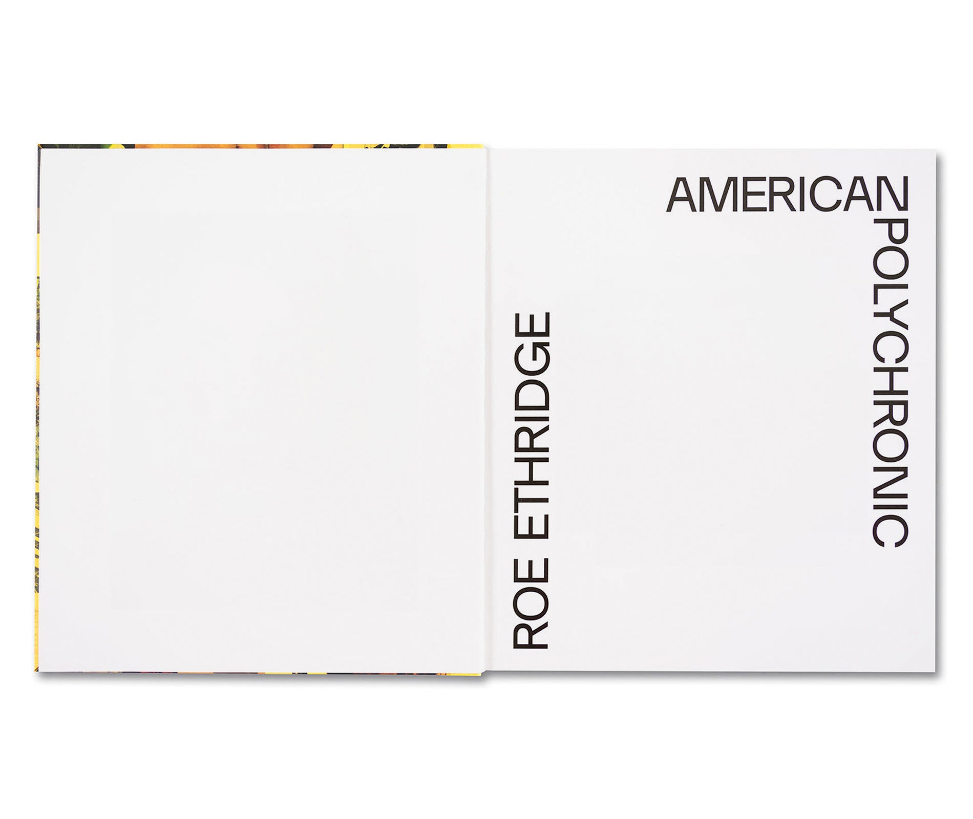 AMERICAN POLYCHRONIC by Roe Ethridge