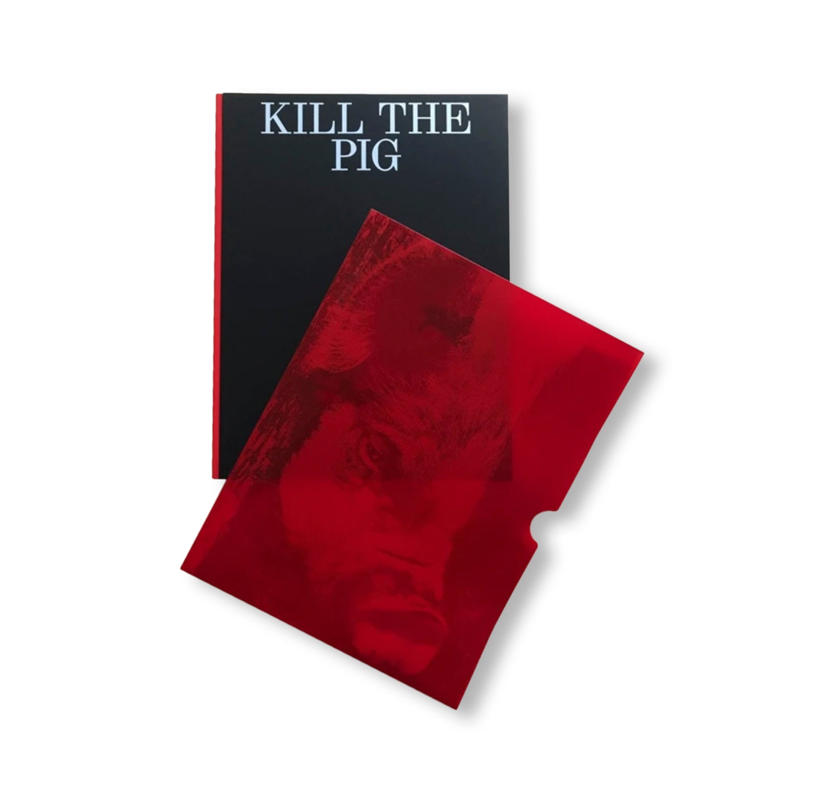 KILL THE PIG by Masahisa Fukase