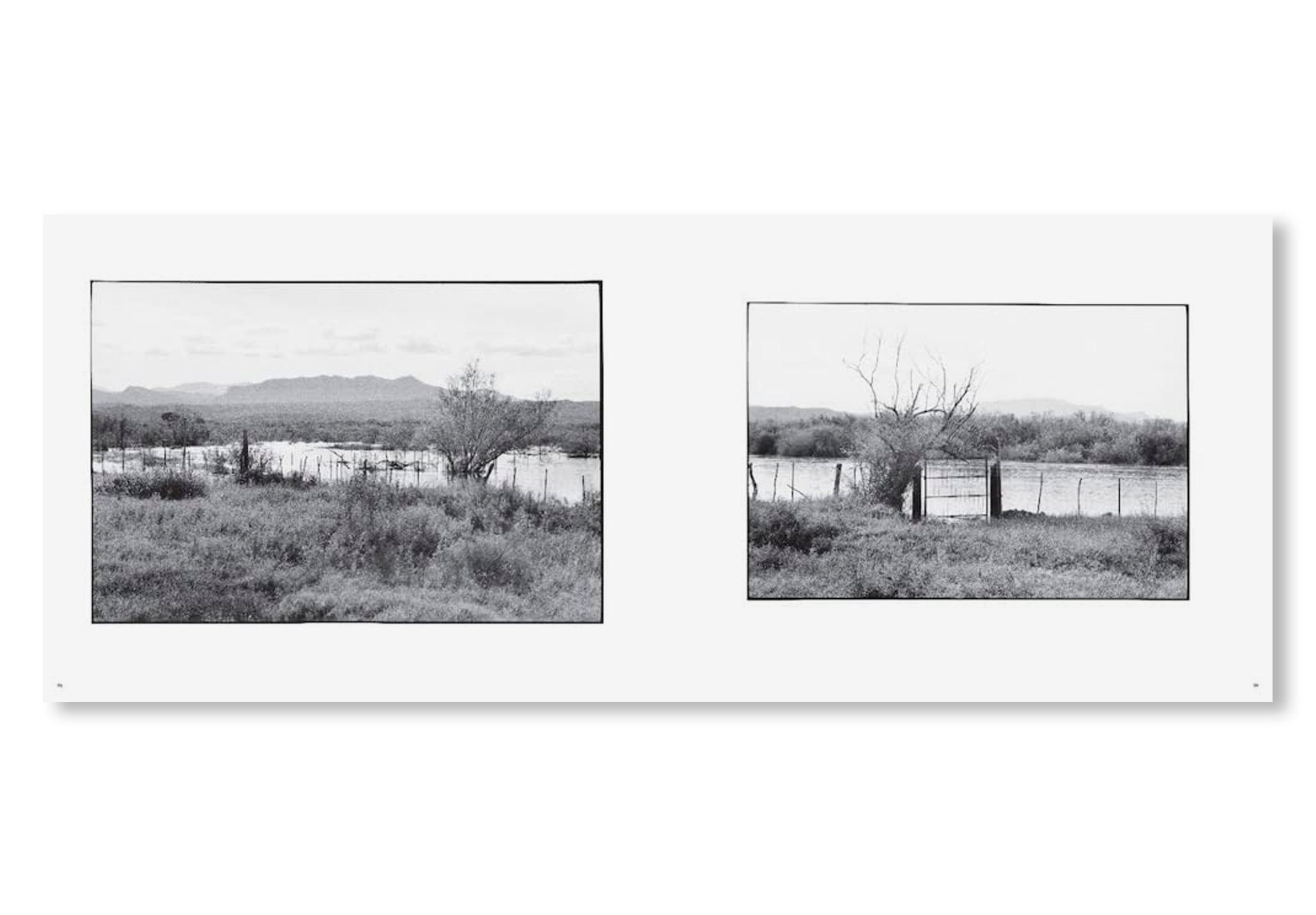 AL RÍO / TO THE RIVER by Zoe Leonard