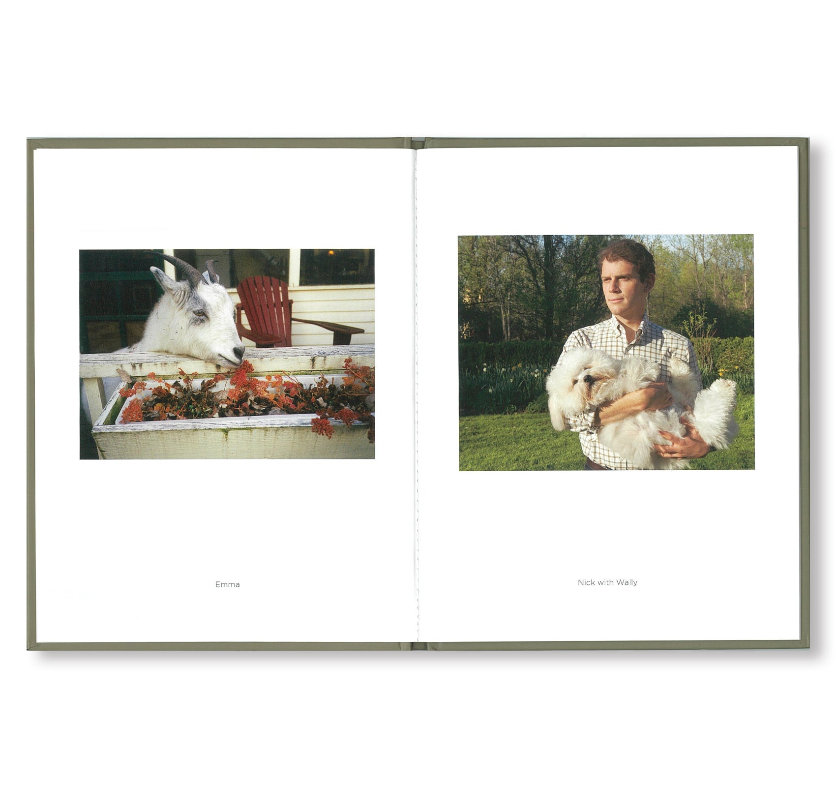 ONE PICTURE BOOK #73: PET PICTURES by Stephen Shore