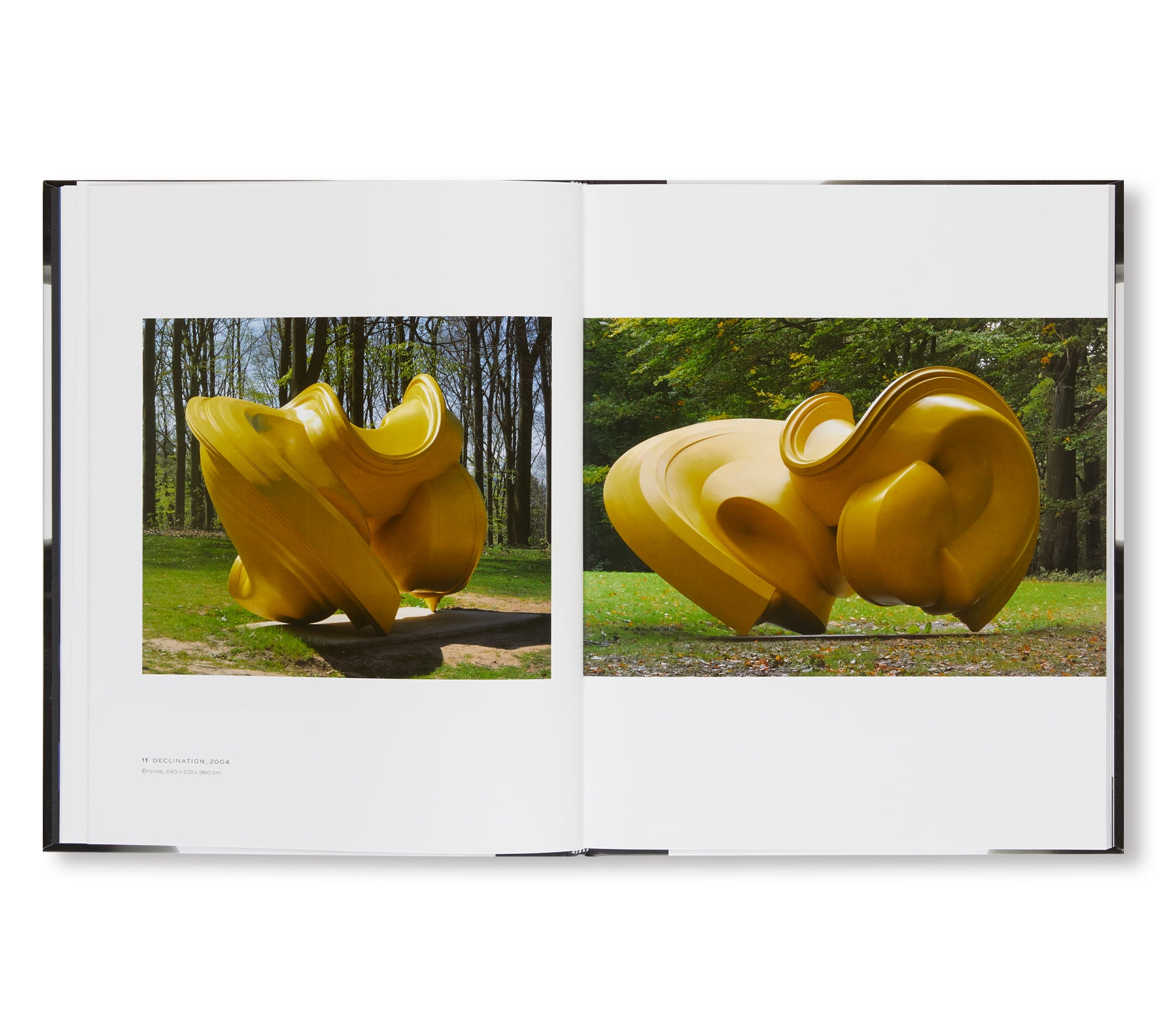 SCULPTURES AND DRAWINGS by Tony Cragg