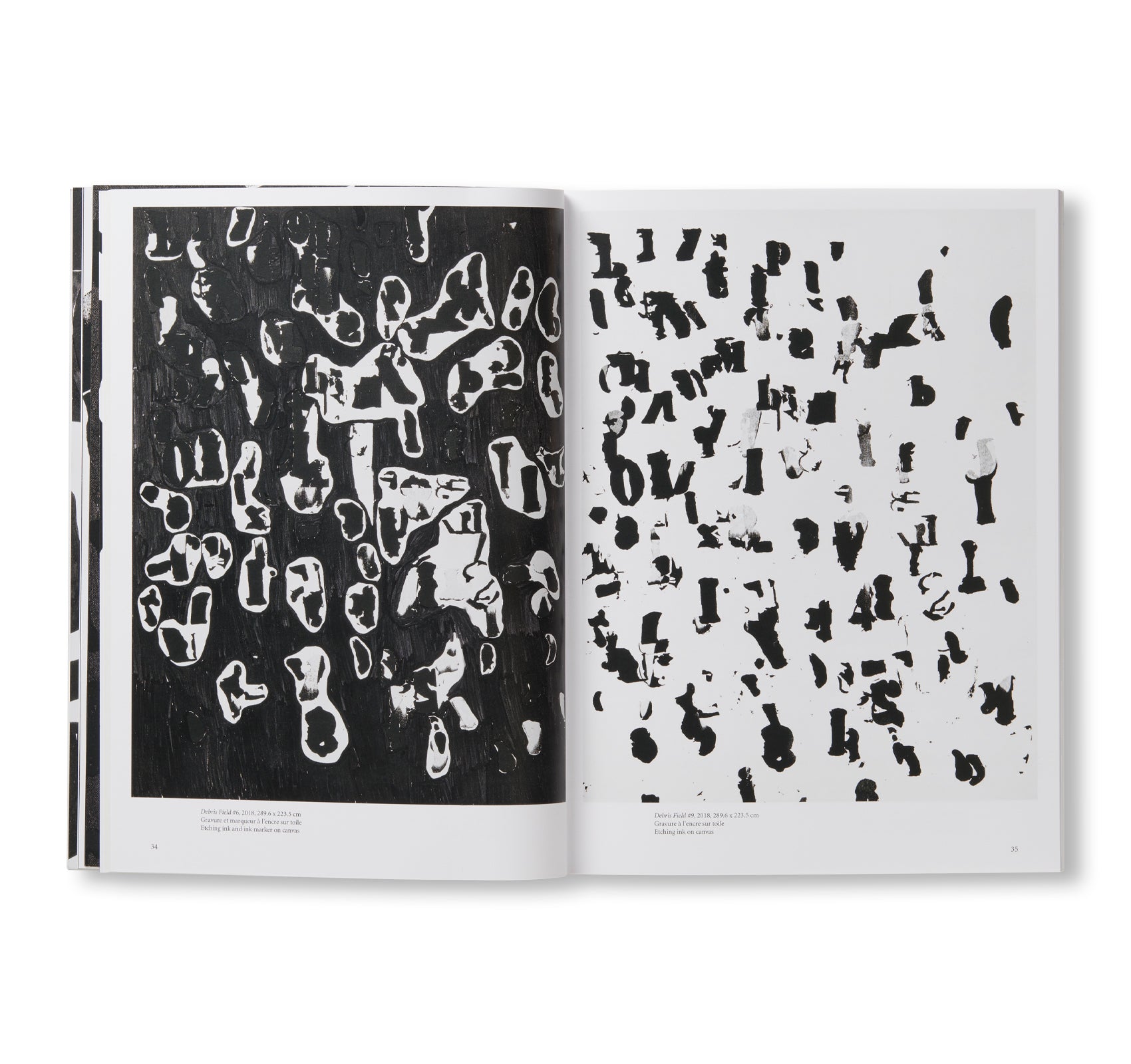 DEBRIS FIELD / NOTES FOR A POEM ON THE THIRD WORLD / SOLEIL NEGRE by Glenn Ligon