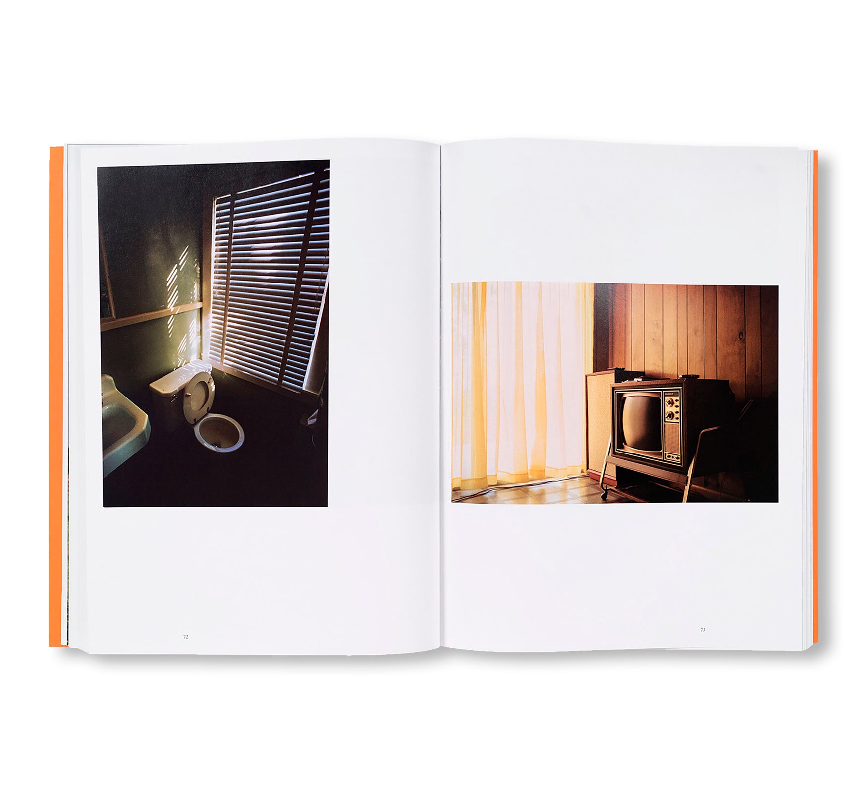 THE OUTLANDS, SELECTED WORKS by William Eggleston