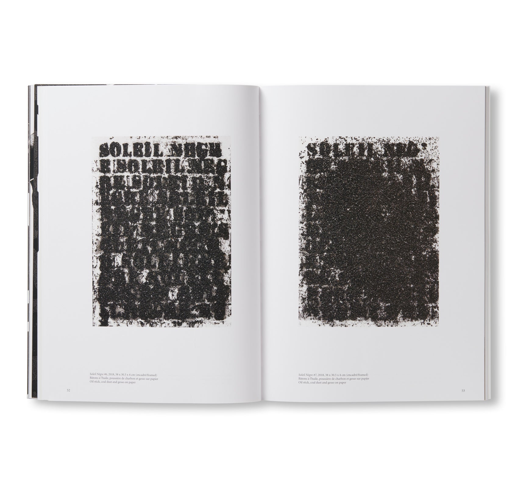 DEBRIS FIELD / NOTES FOR A POEM ON THE THIRD WORLD / SOLEIL NEGRE by Glenn Ligon