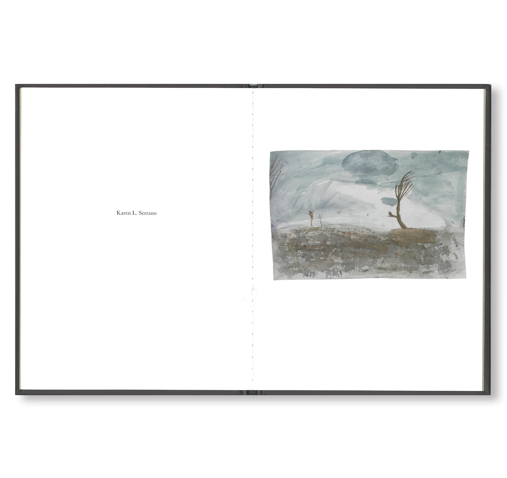 ONE PICTURE BOOK #59: CRACKED TREE by Todd Hido