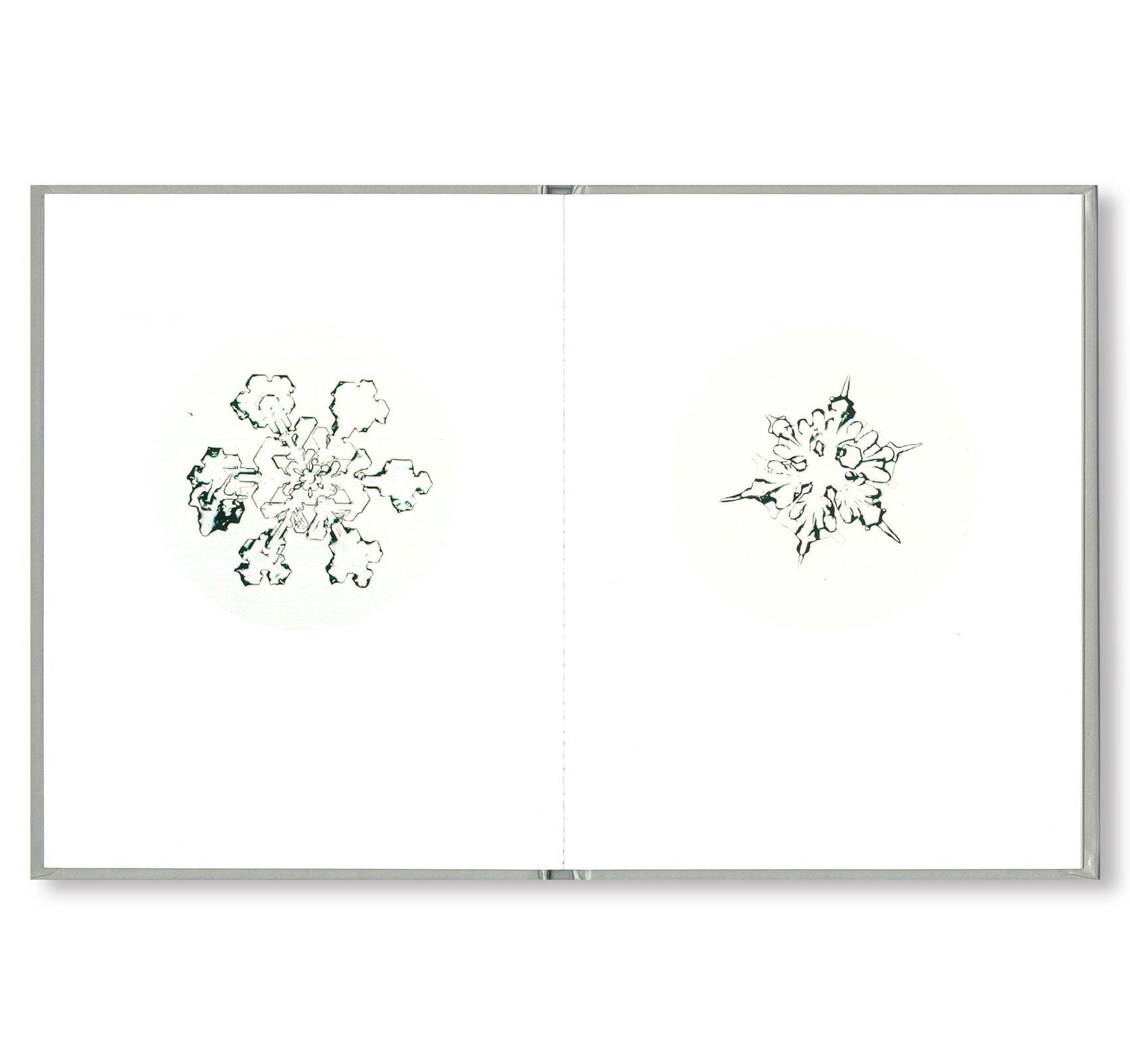 ONE PICTURE BOOK #80: SNOW LETTER by Risaku Suzuki