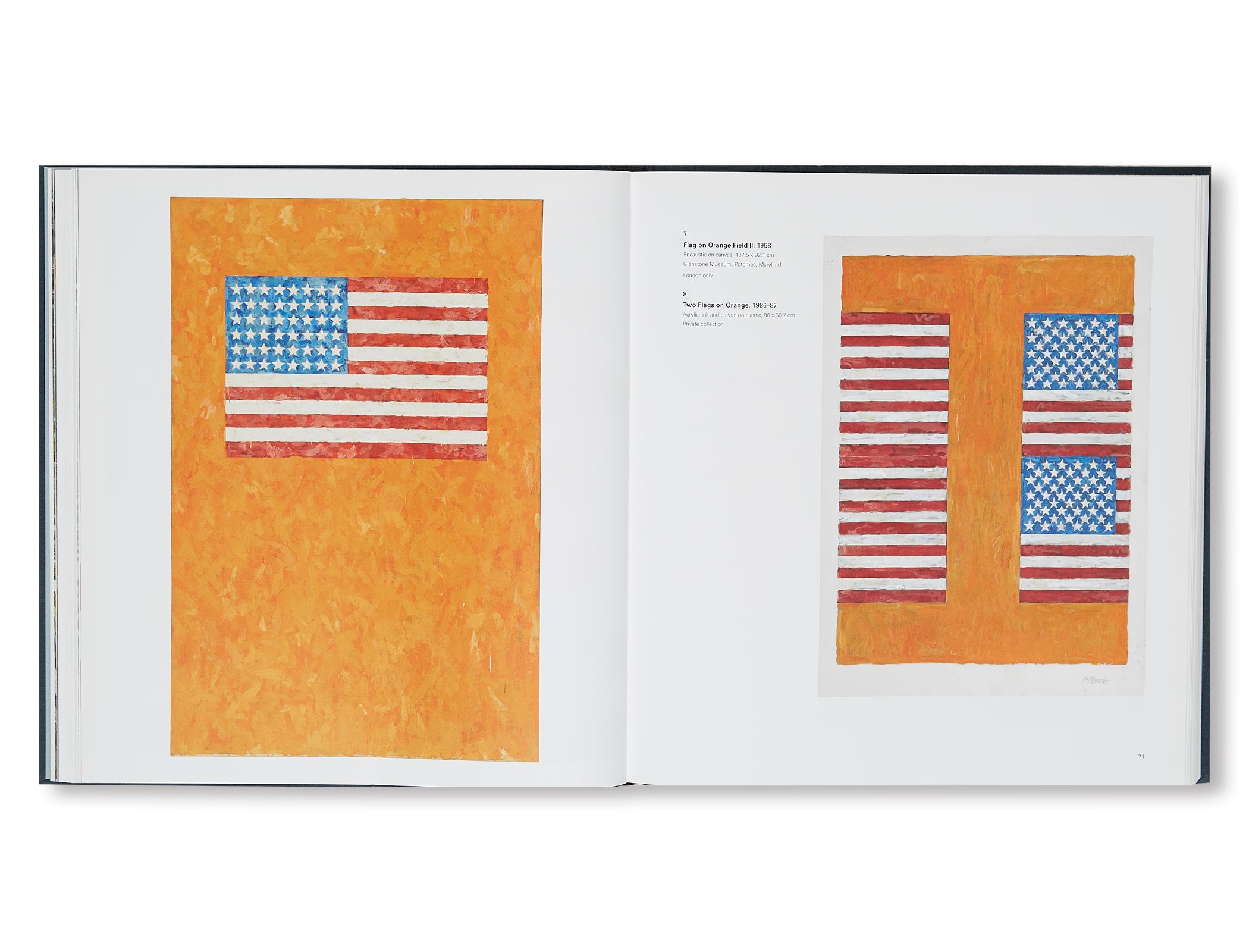 JASPER JOHNS by Jasper Johns