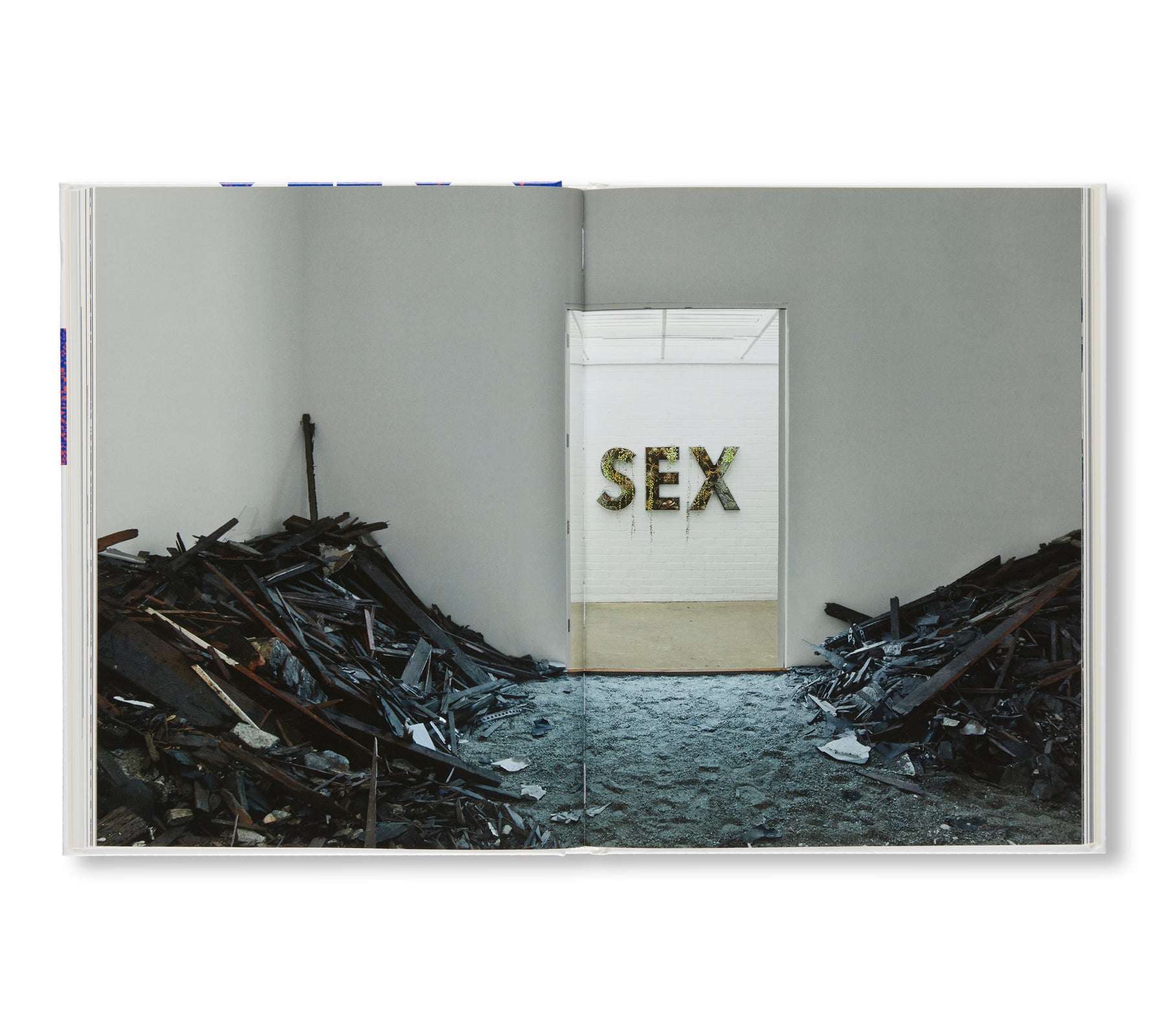 SCULPTURES 2001-2015 by Doug Aitken