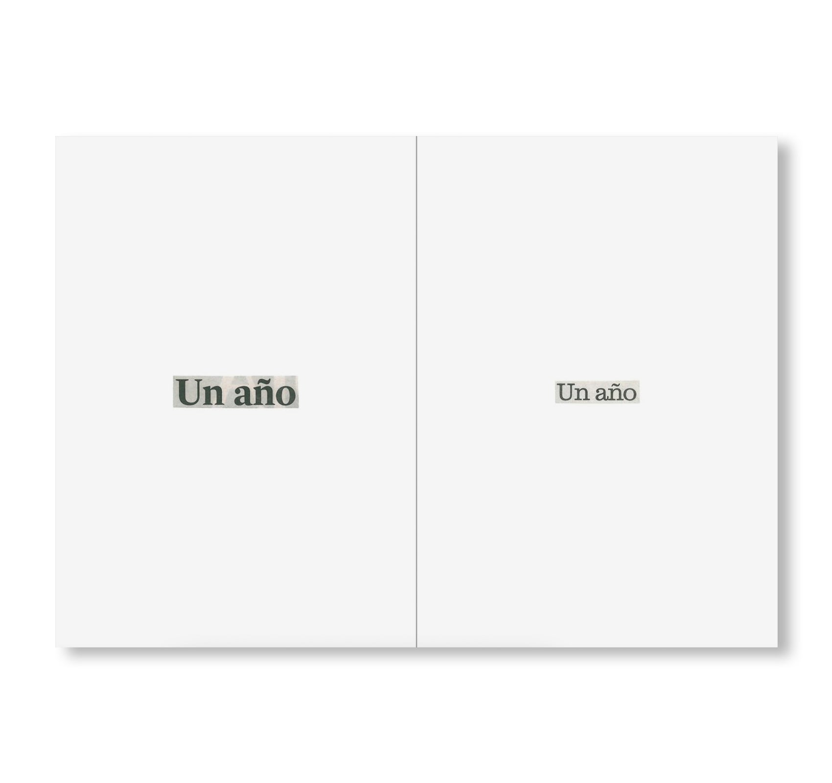 AUTOBIOGRAPHY N.10 by Ignasi Aballí