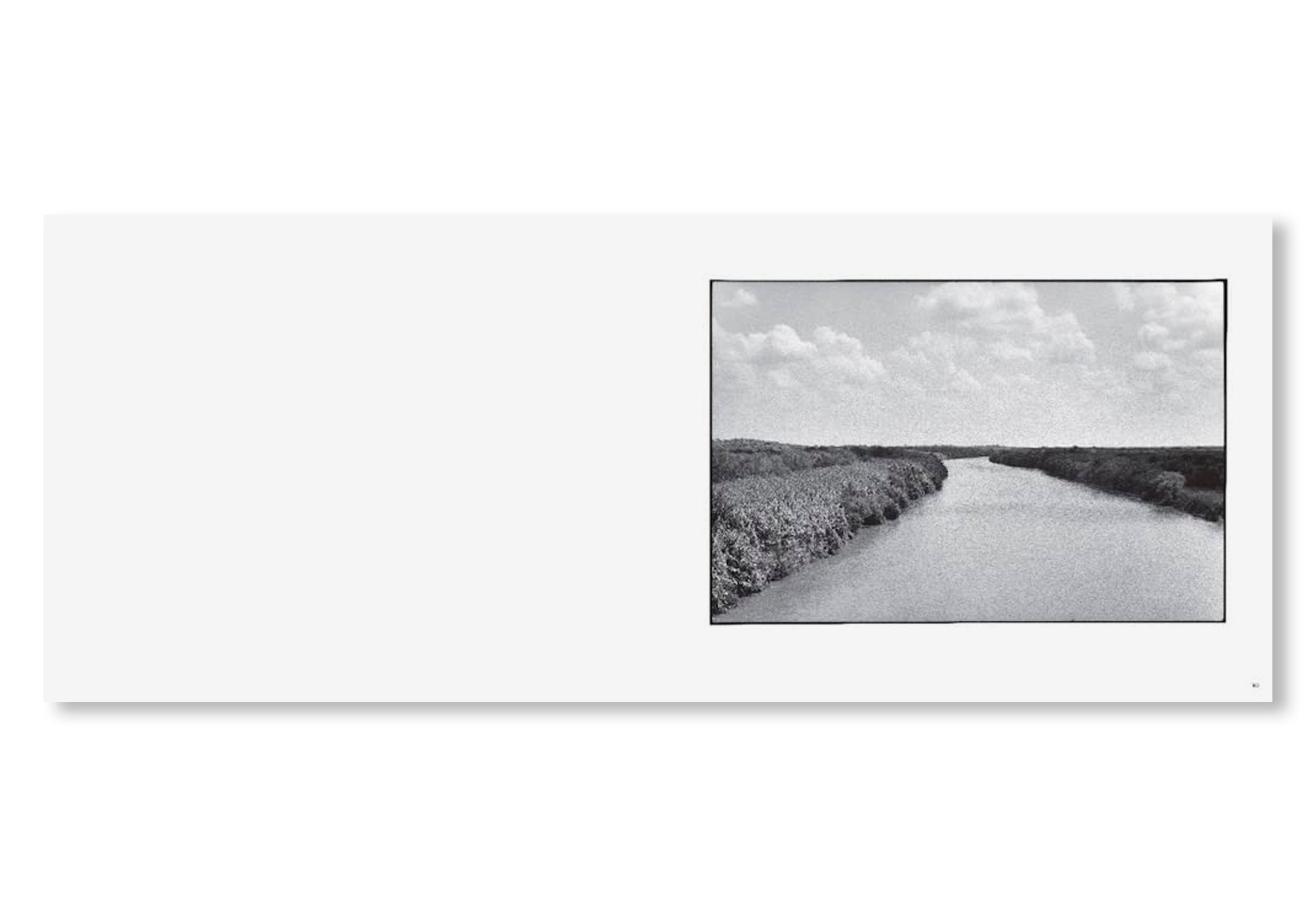 AL RÍO / TO THE RIVER by Zoe Leonard