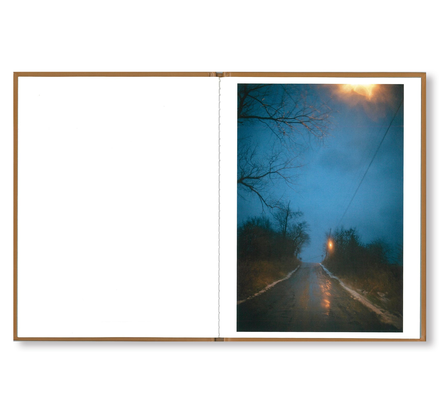 ONE PICTURE BOOK #93: SEASONS ROAD by Todd Hido