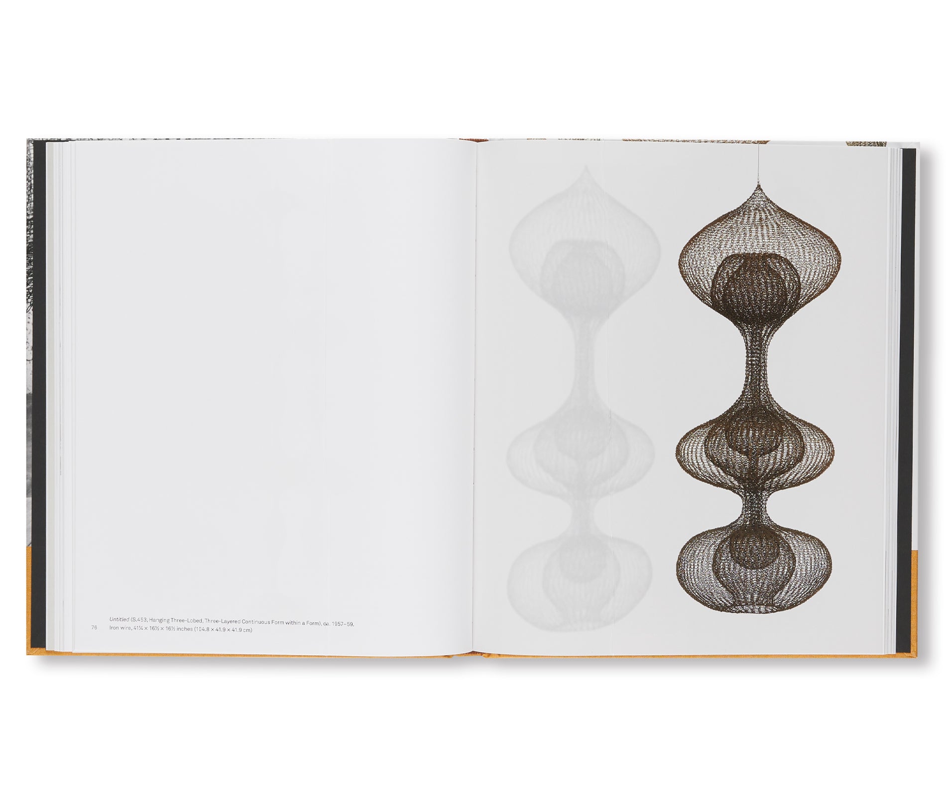 RUTH ASAWA: LIFE'S WORK by Ruth Asawa