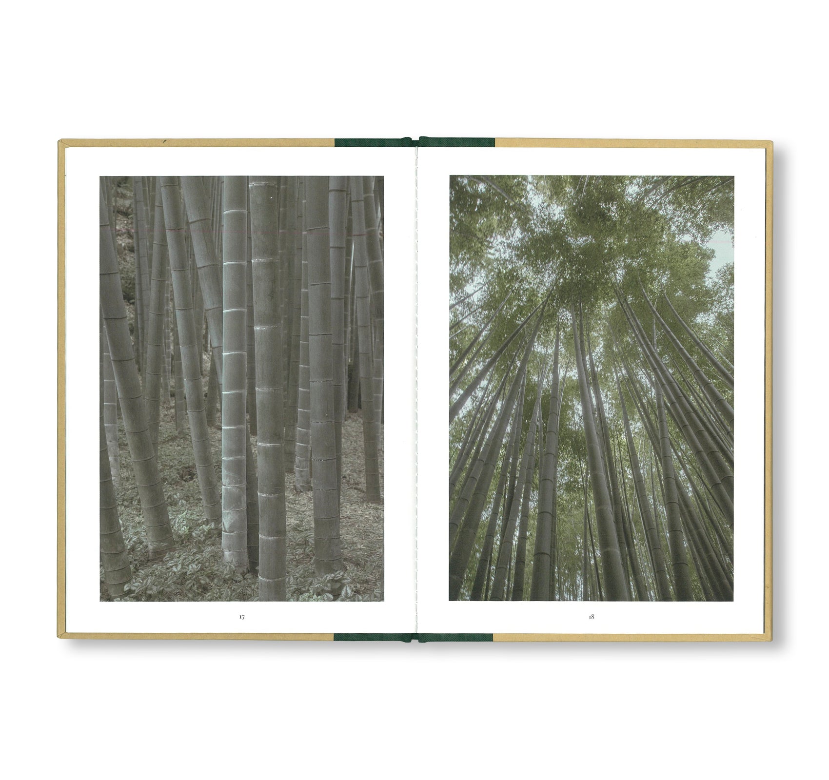 ONE PICTURE BOOK TWO #18: A WALK THROUGH A BAMBOO GROVE by David H. Gibson