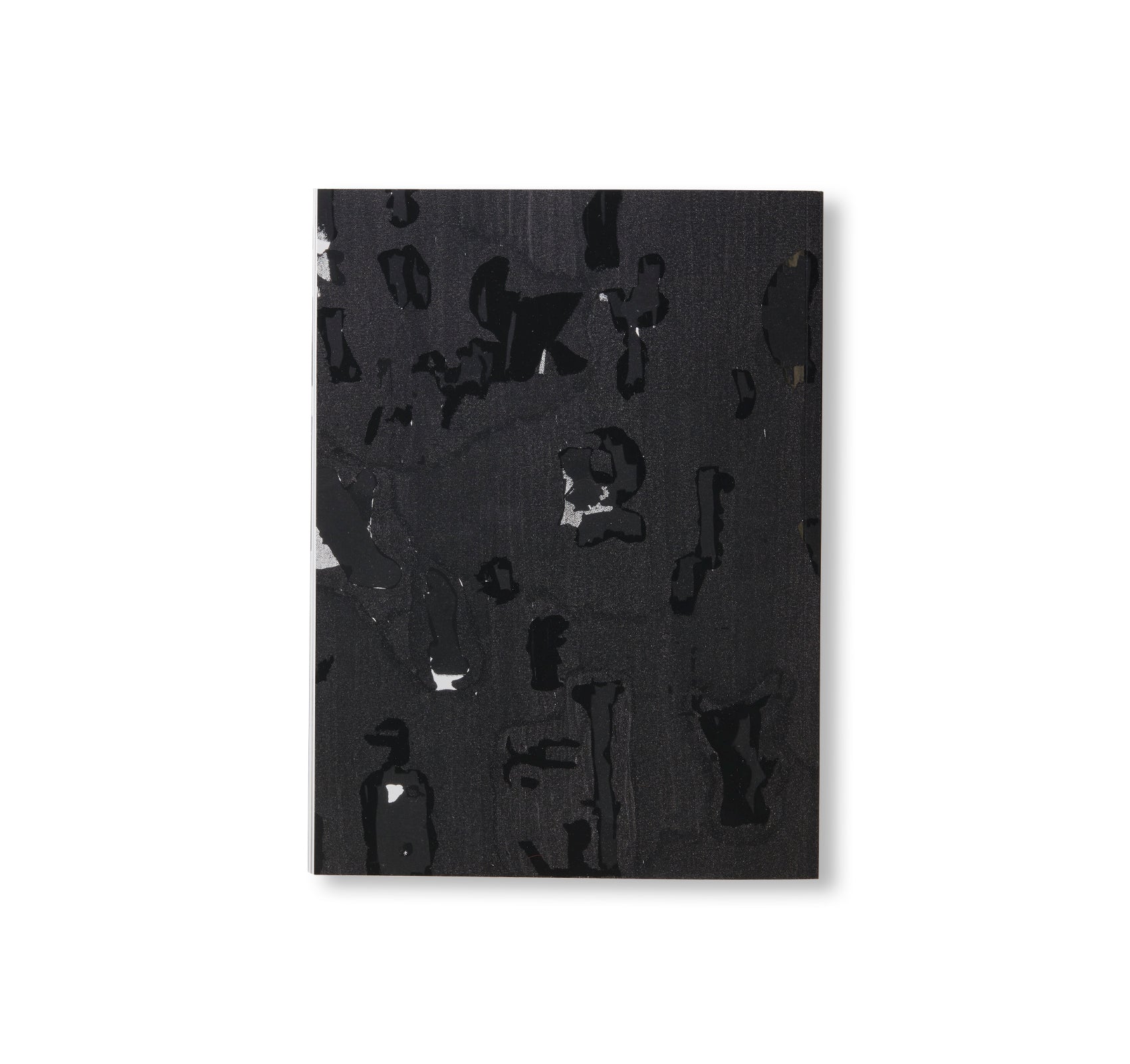 DEBRIS FIELD / NOTES FOR A POEM ON THE THIRD WORLD / SOLEIL NEGRE by Glenn Ligon