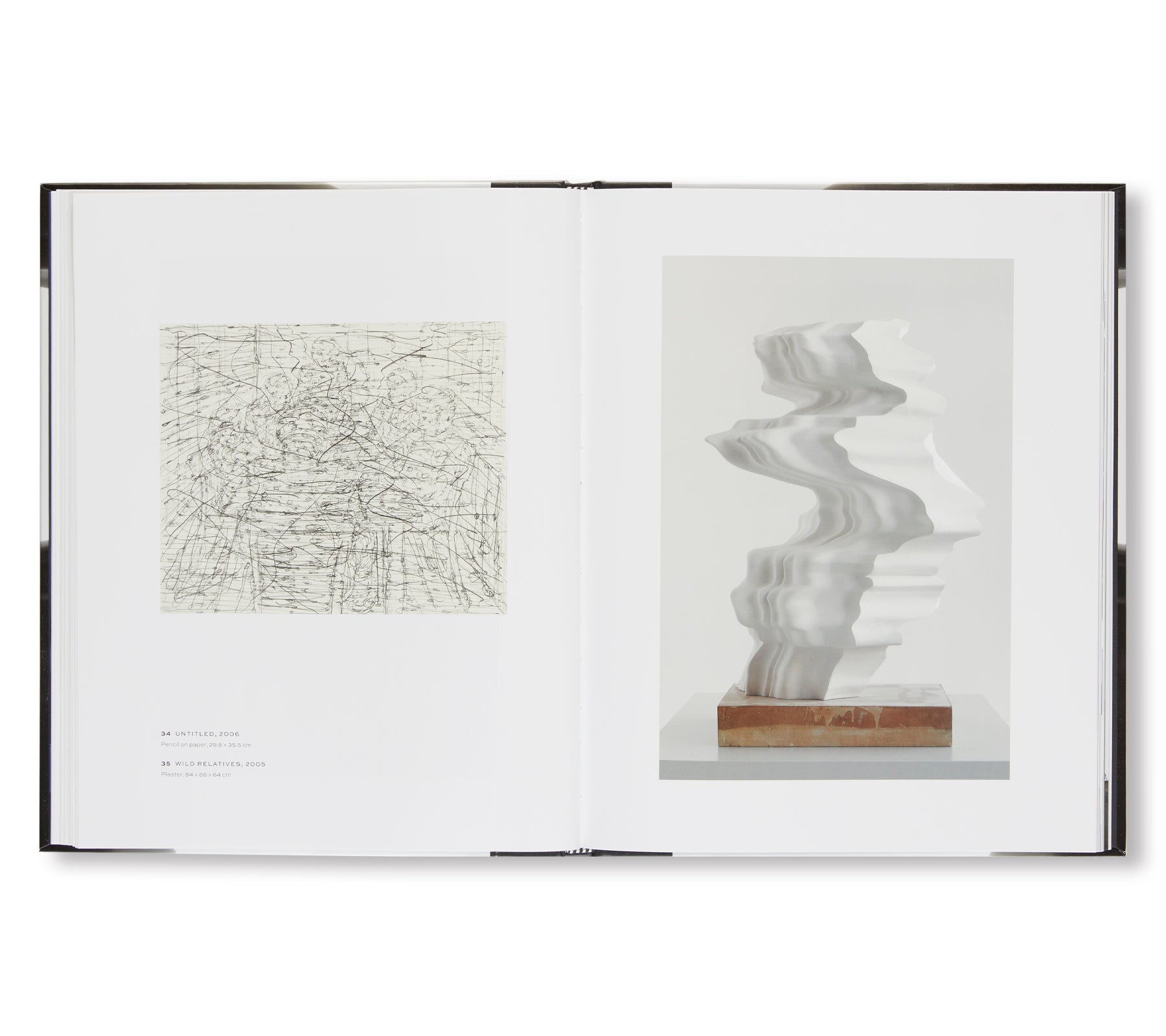 SCULPTURES AND DRAWINGS by Tony Cragg