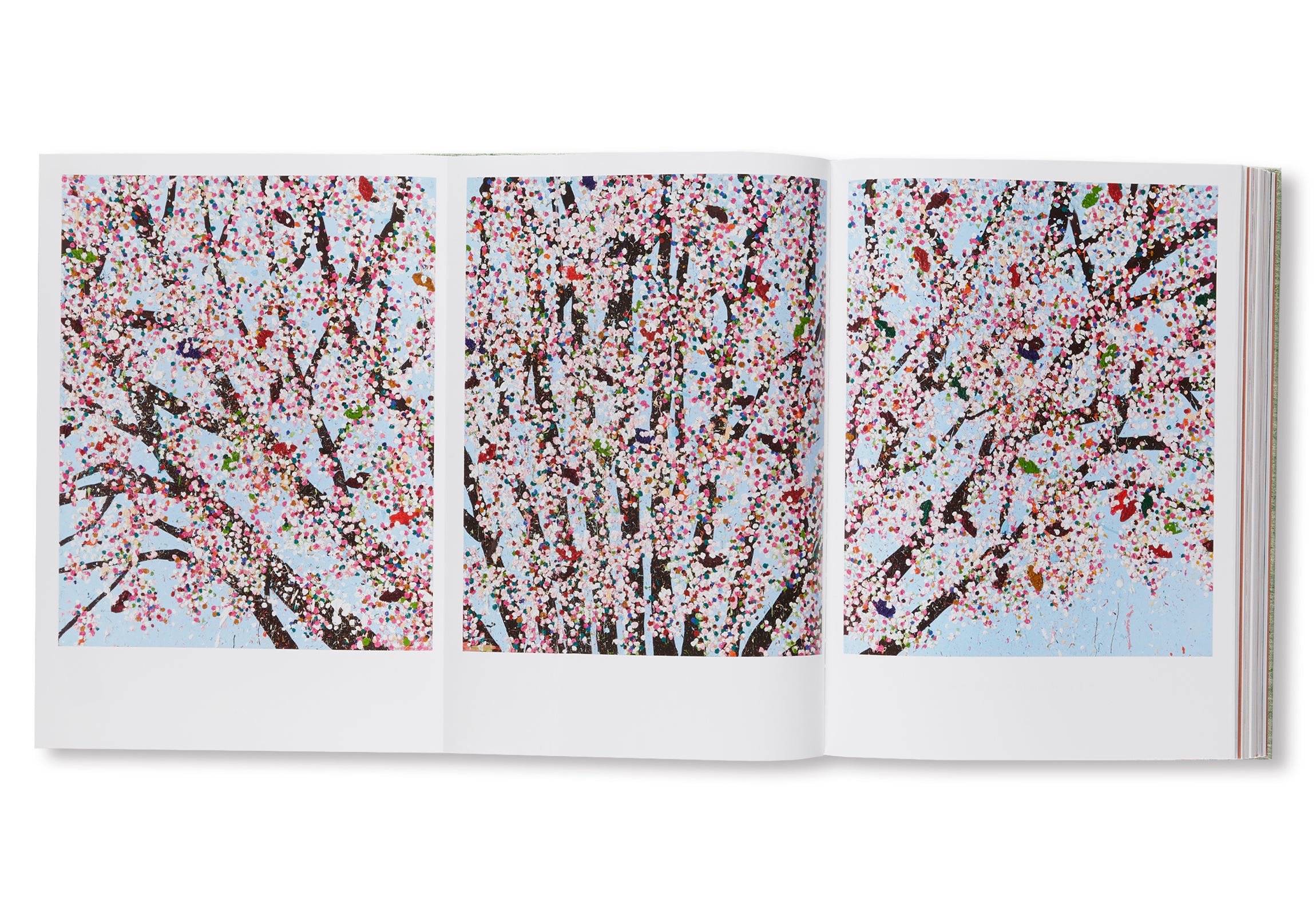 CHERRY BLOSSOMS by Damien Hirst