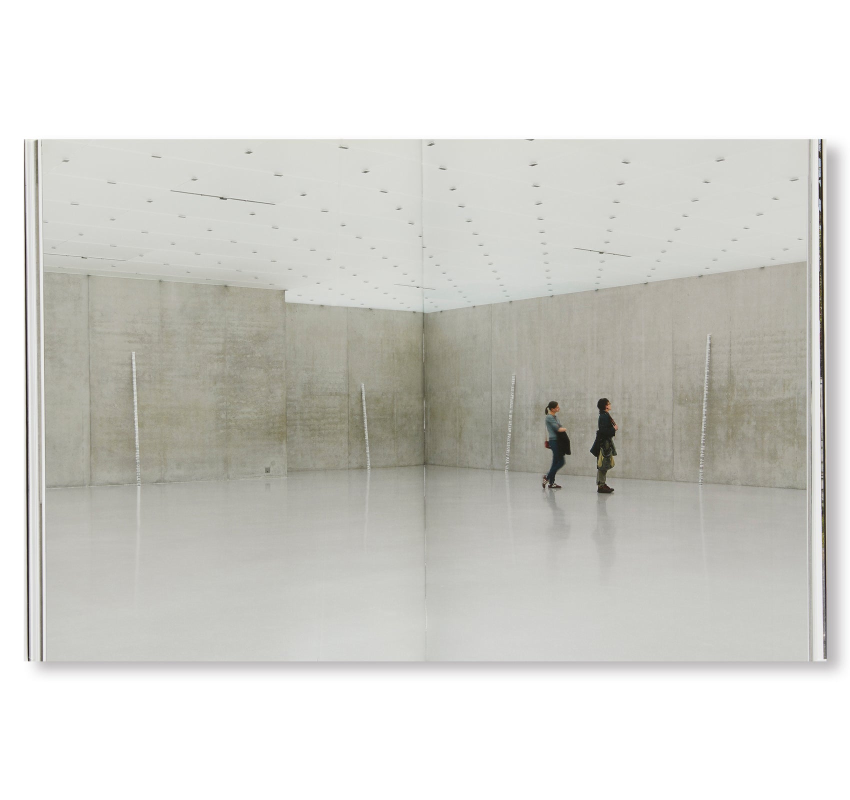 WELL & TRULY by Roni Horn