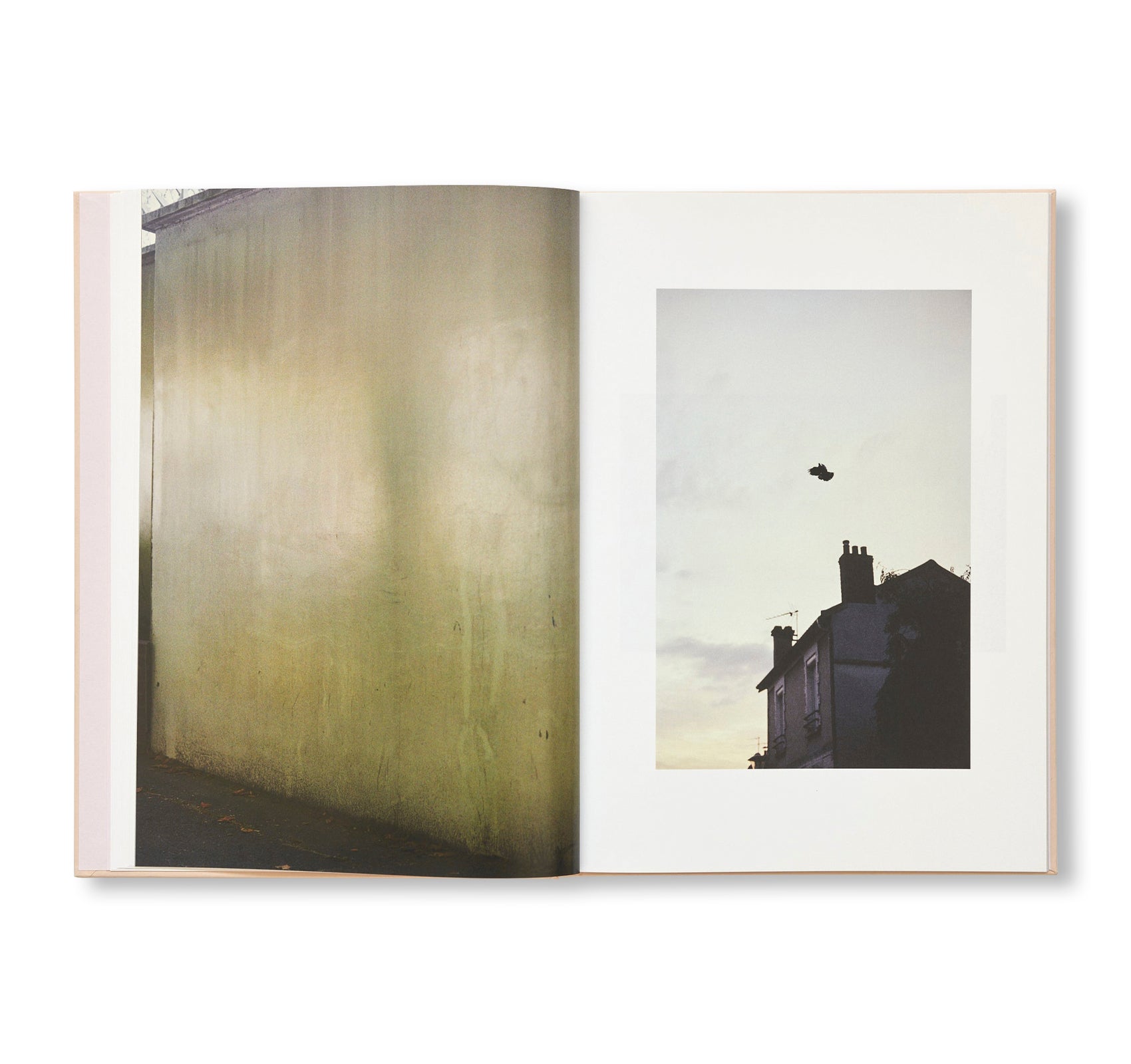 THE CLOUD, THE BIRD AND THE PUDDLE by Ola Rindal [SIGNED]