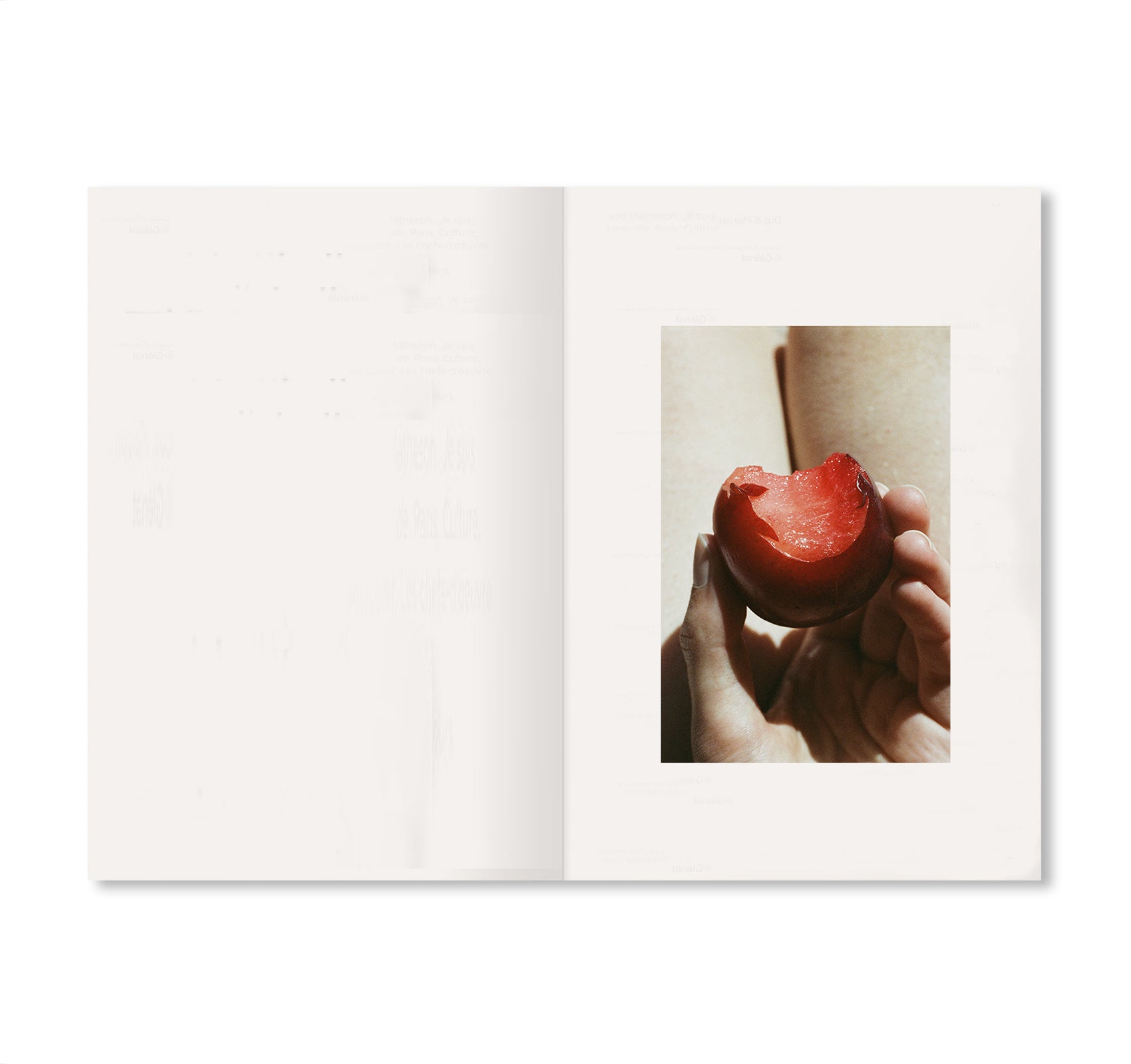 MY PHOTO BOOKS by Lina Scheynius