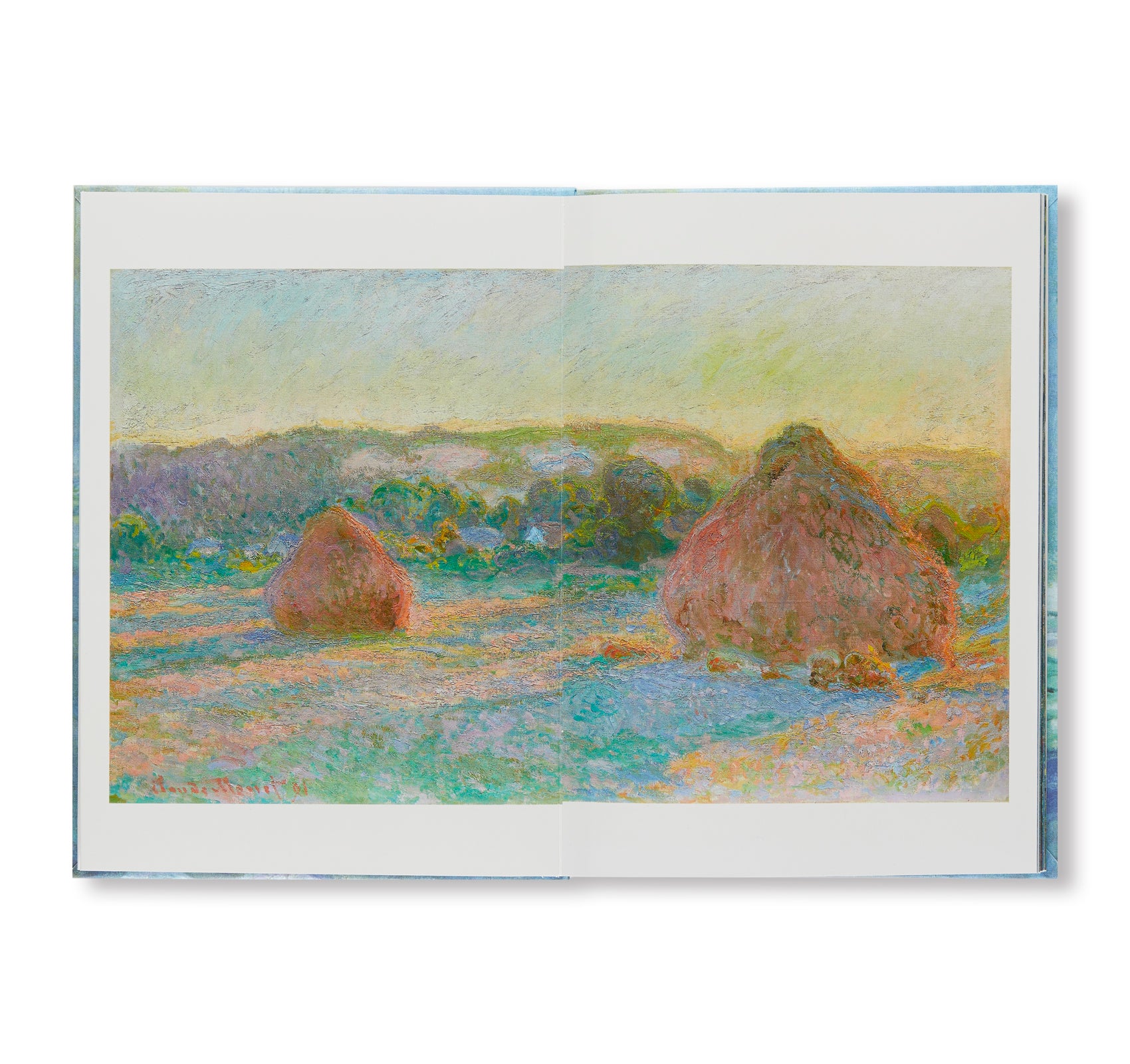 MONET - THE ESSENTIAL PAINTINGS by Anne Sefrioui