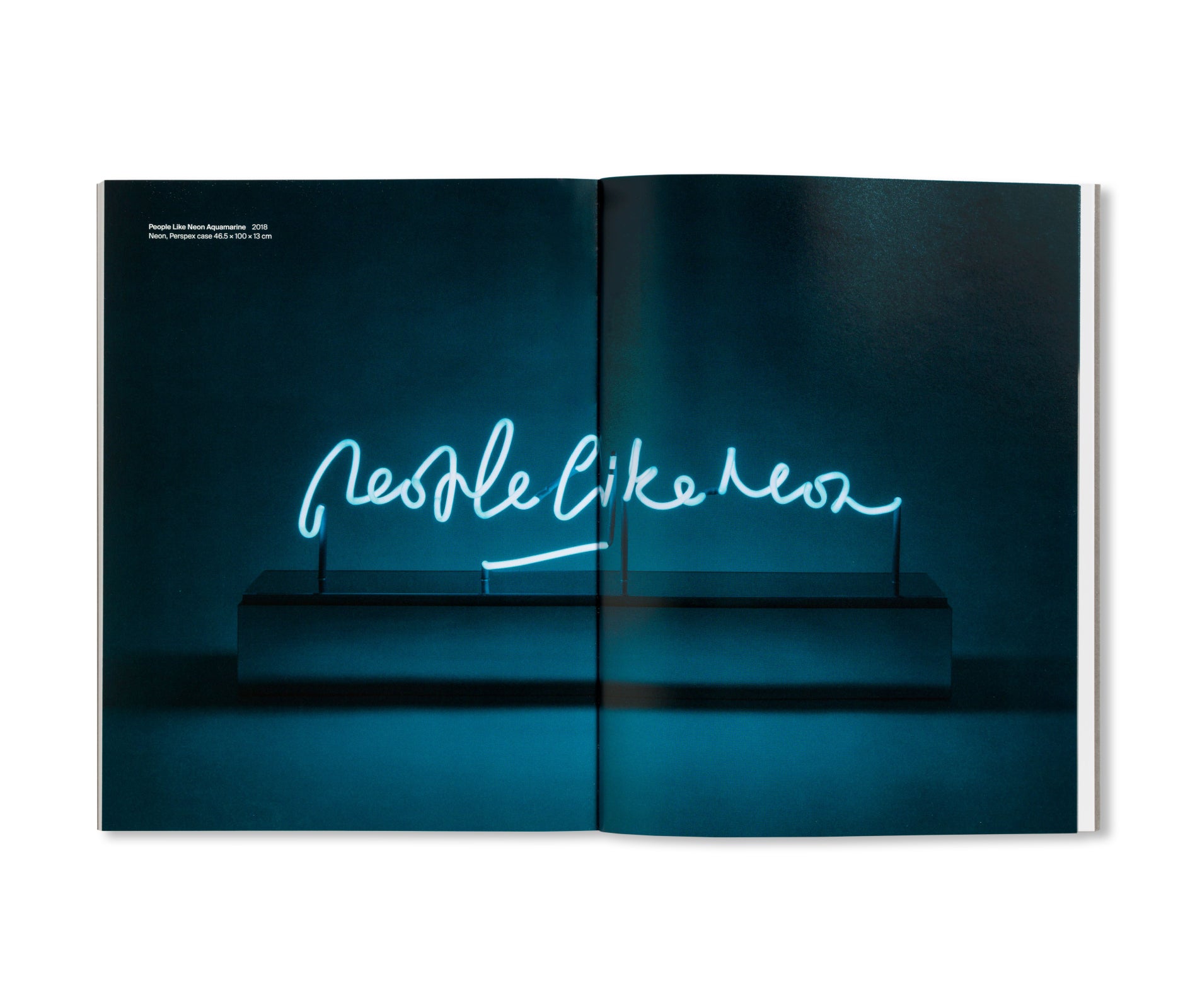 PRINTS AND MULTIPLES/ANNA BLESSMANN AND PETER SAVILLE by Peter Saville