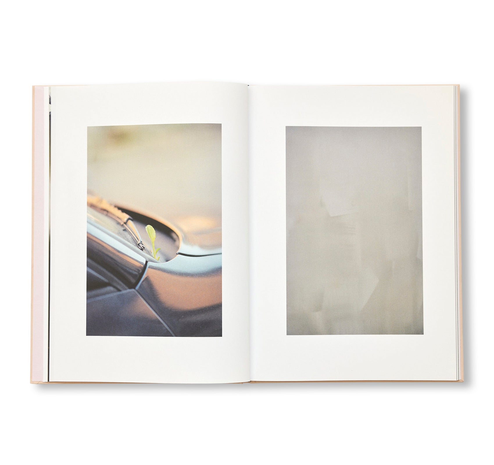 THE CLOUD, THE BIRD AND THE PUDDLE by Ola Rindal [SIGNED]