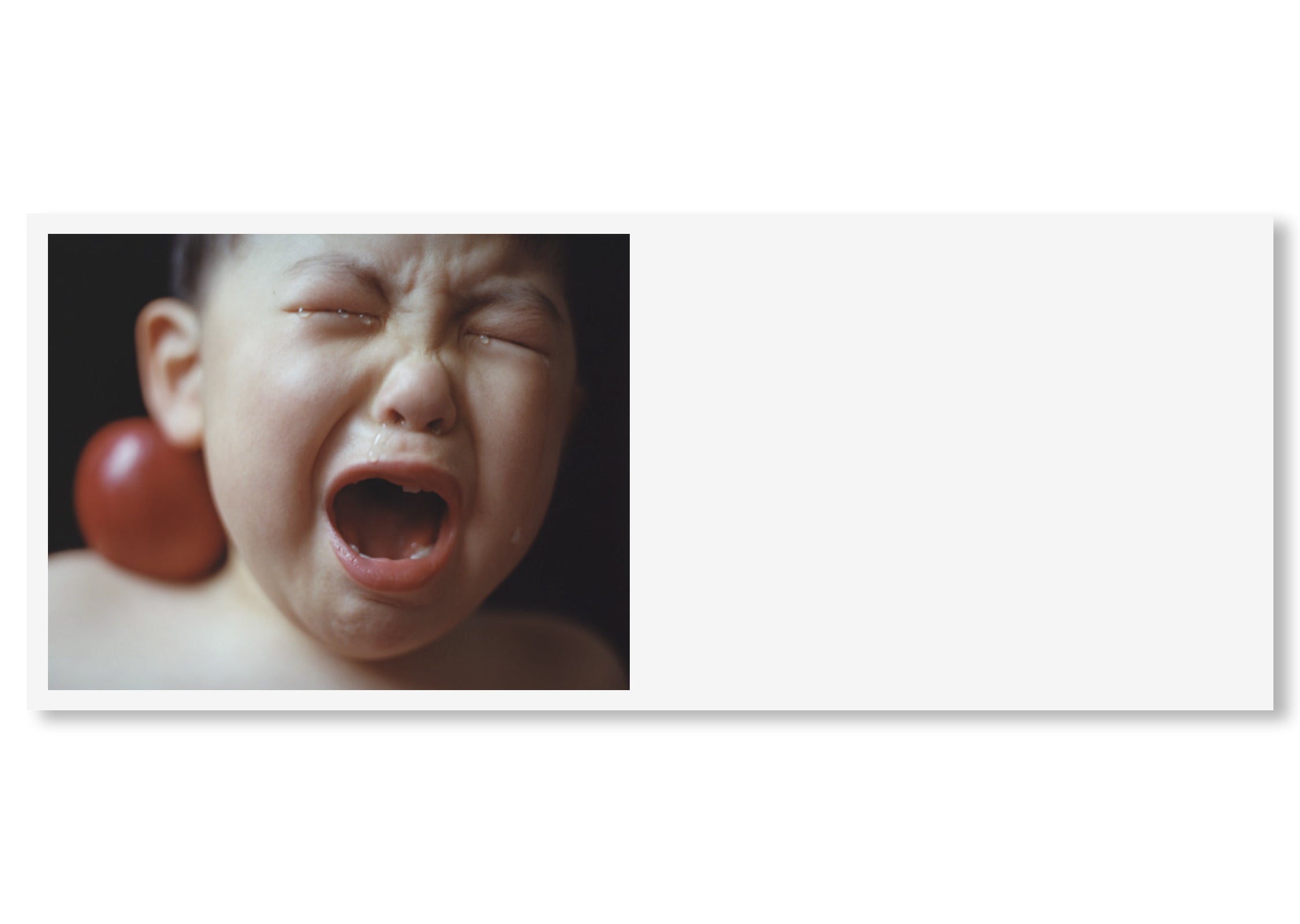 WILD CHILDREN by Osamu Yokonami [SPECIAL EDITIION]