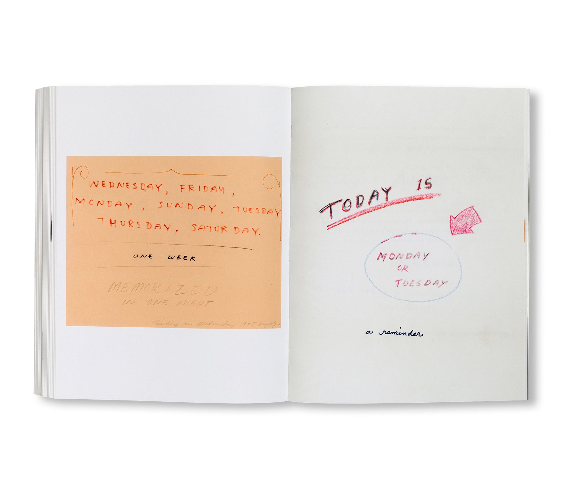 WRITING BY ARTIST by William Wegman