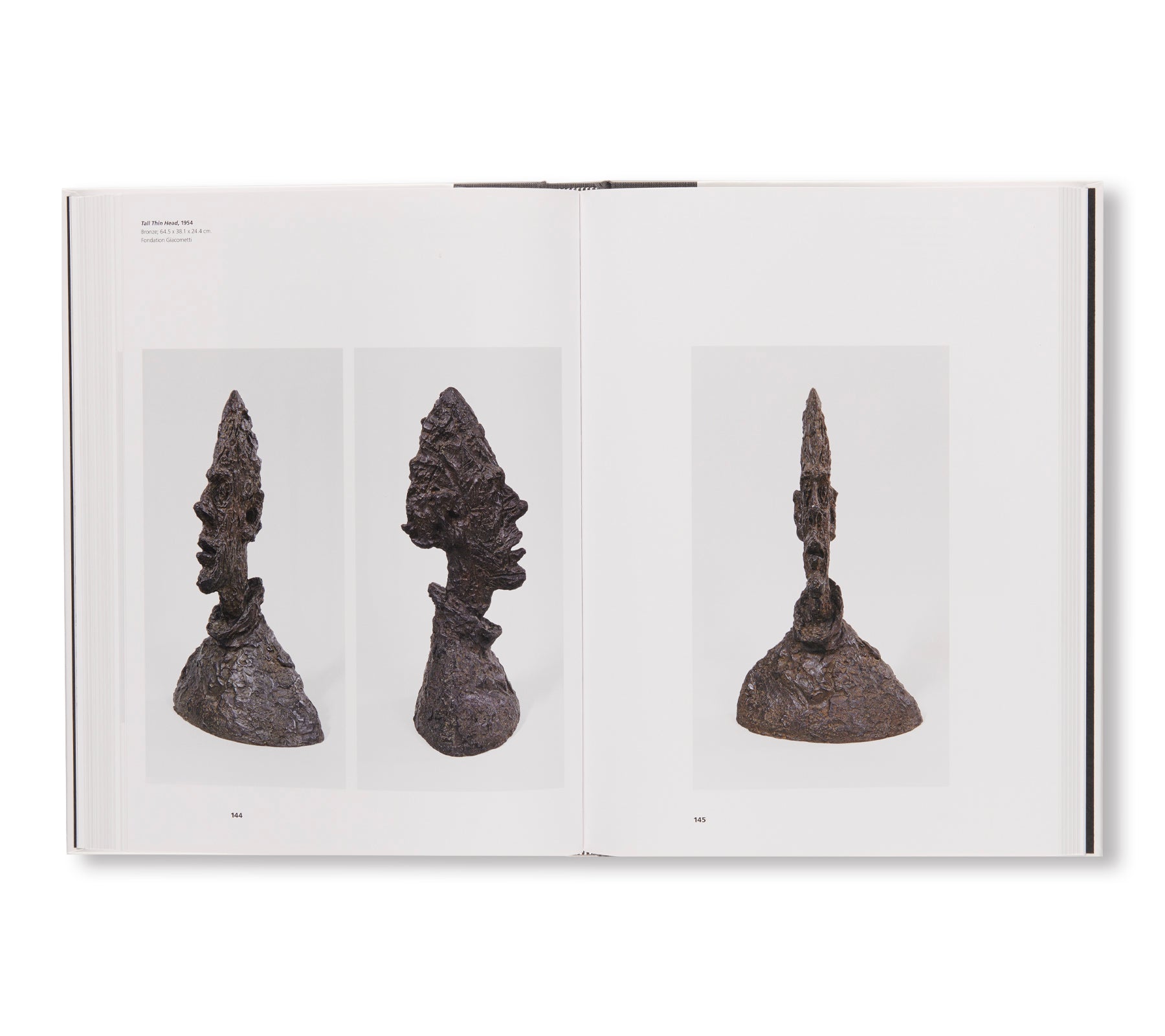 TOWARD THE ULTIMATE FIGURE by Alberto Giacometti